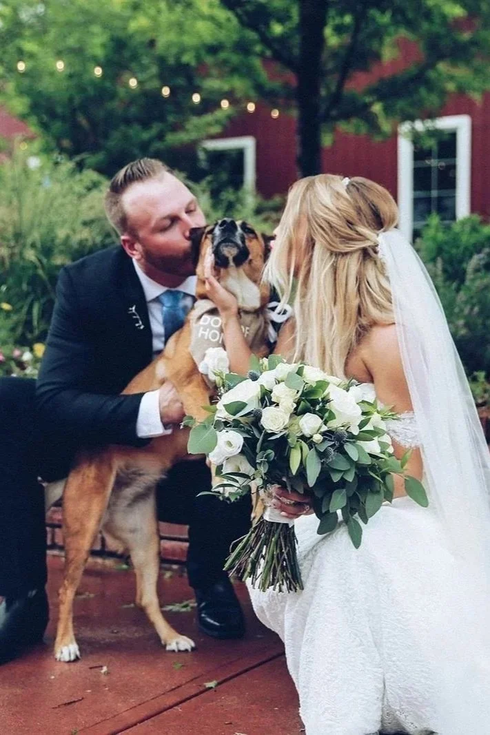 A bride and groom sharing a moment with their dog during a wedding ceremony outdoors, with a background of greenery and string lights, and the bride holding a bouquet of white flowers and greenery.
