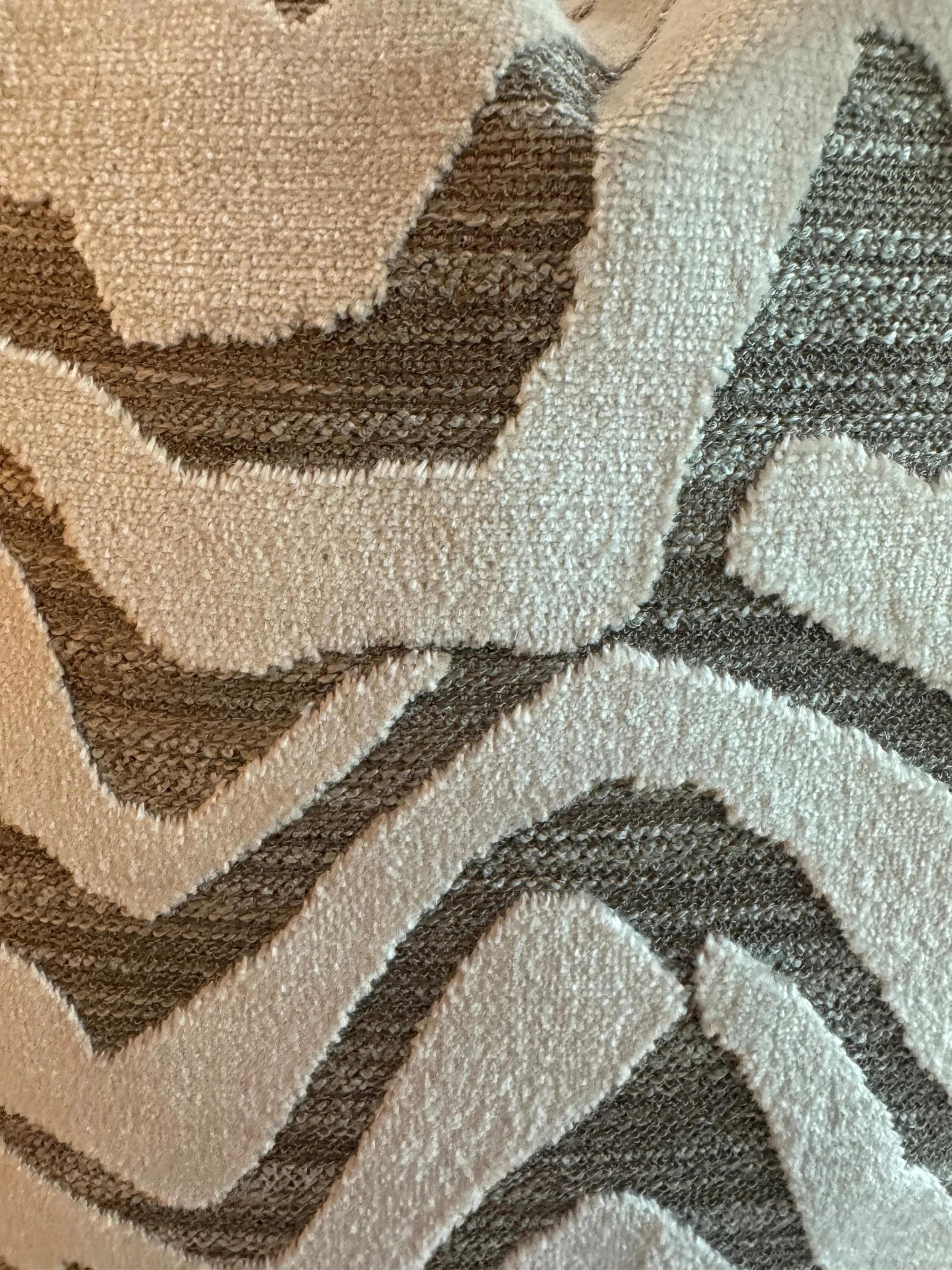 White zebra 2.jpg