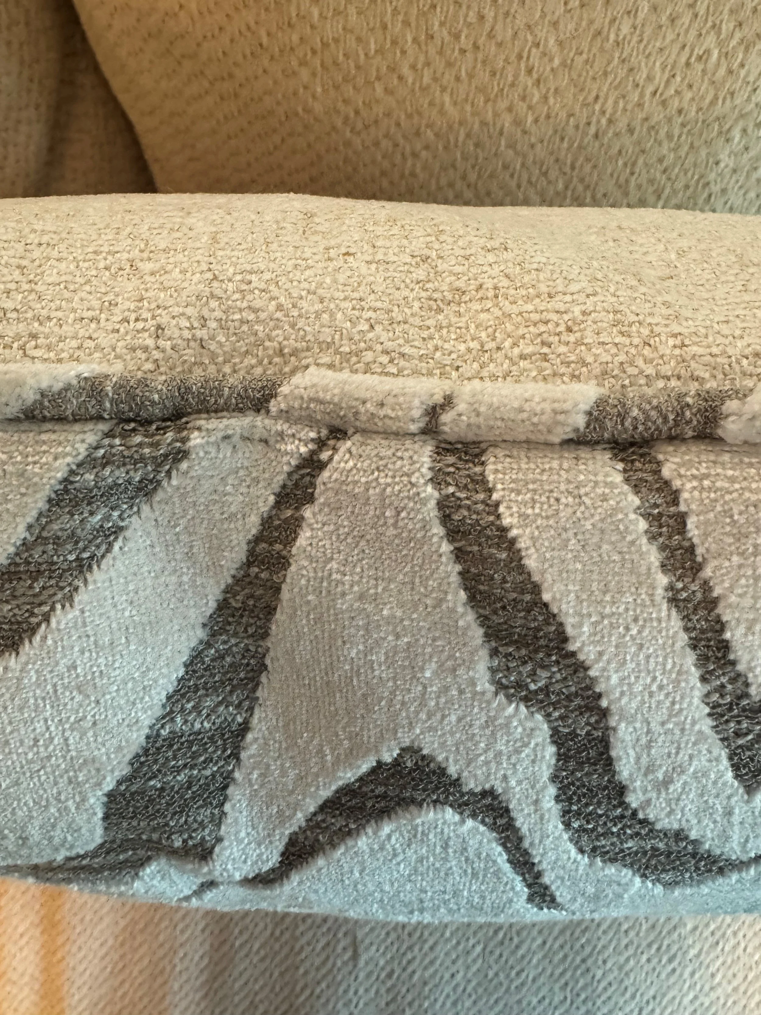 white zebra.jpg