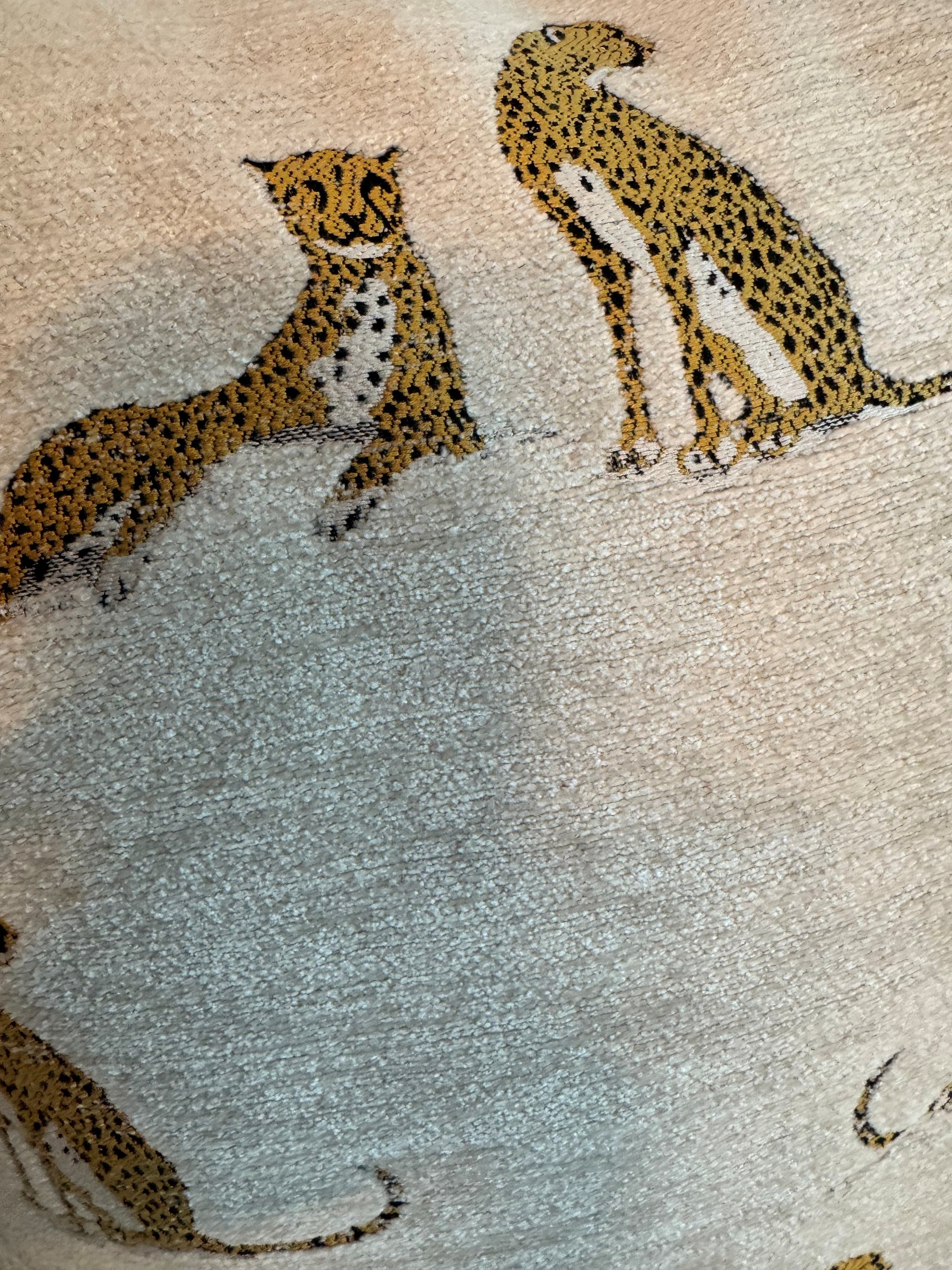 cheetah close up.jpg