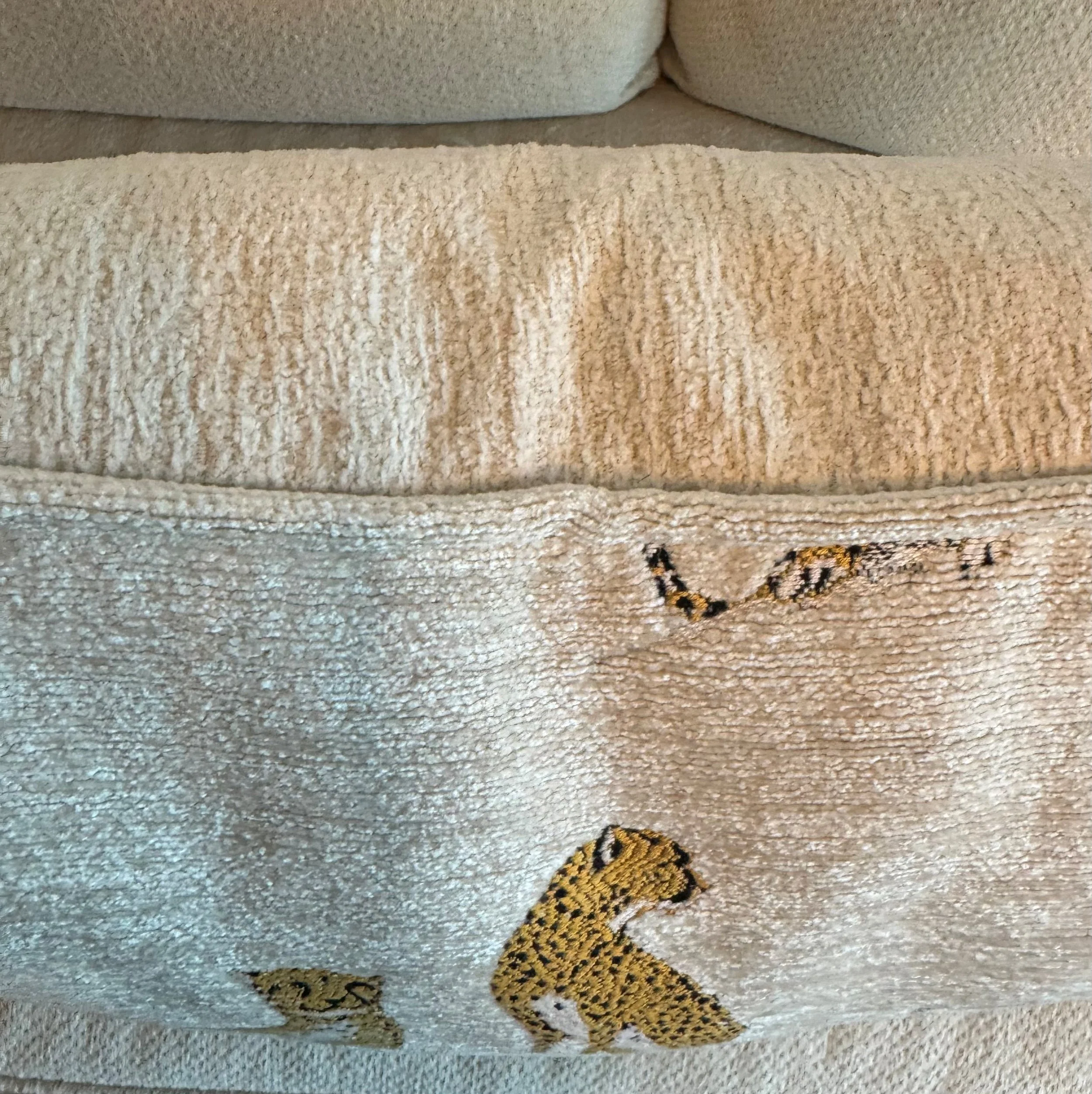 cheetah edge.jpg