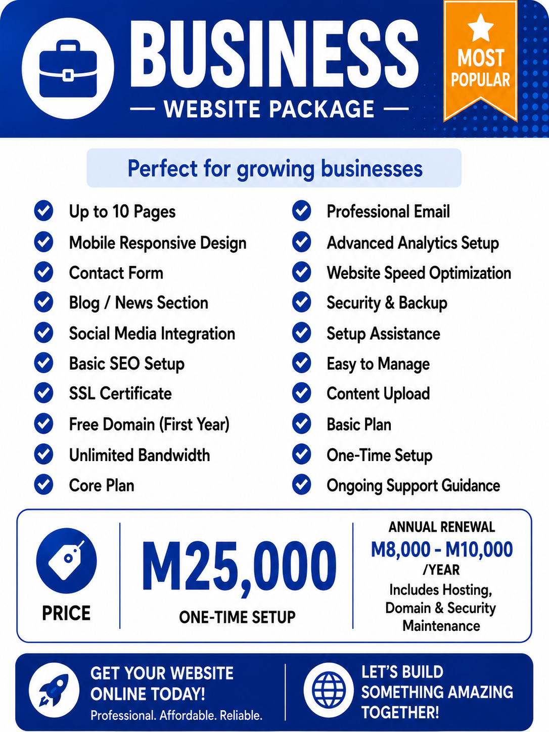 Business Website Package