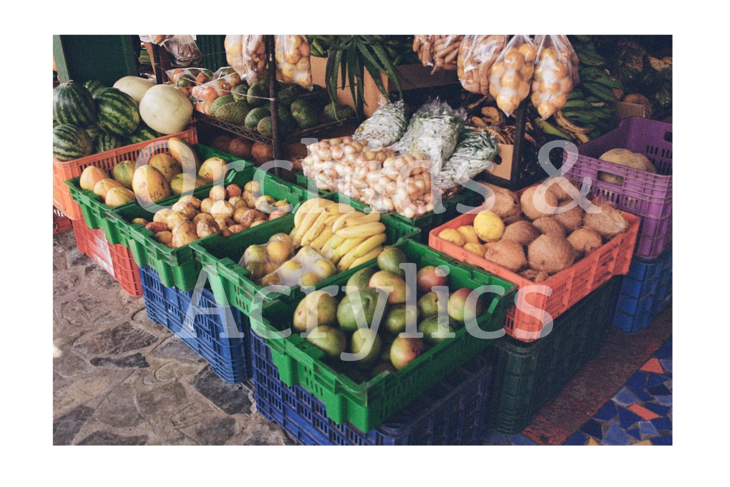 Fruits at El Valle (color)