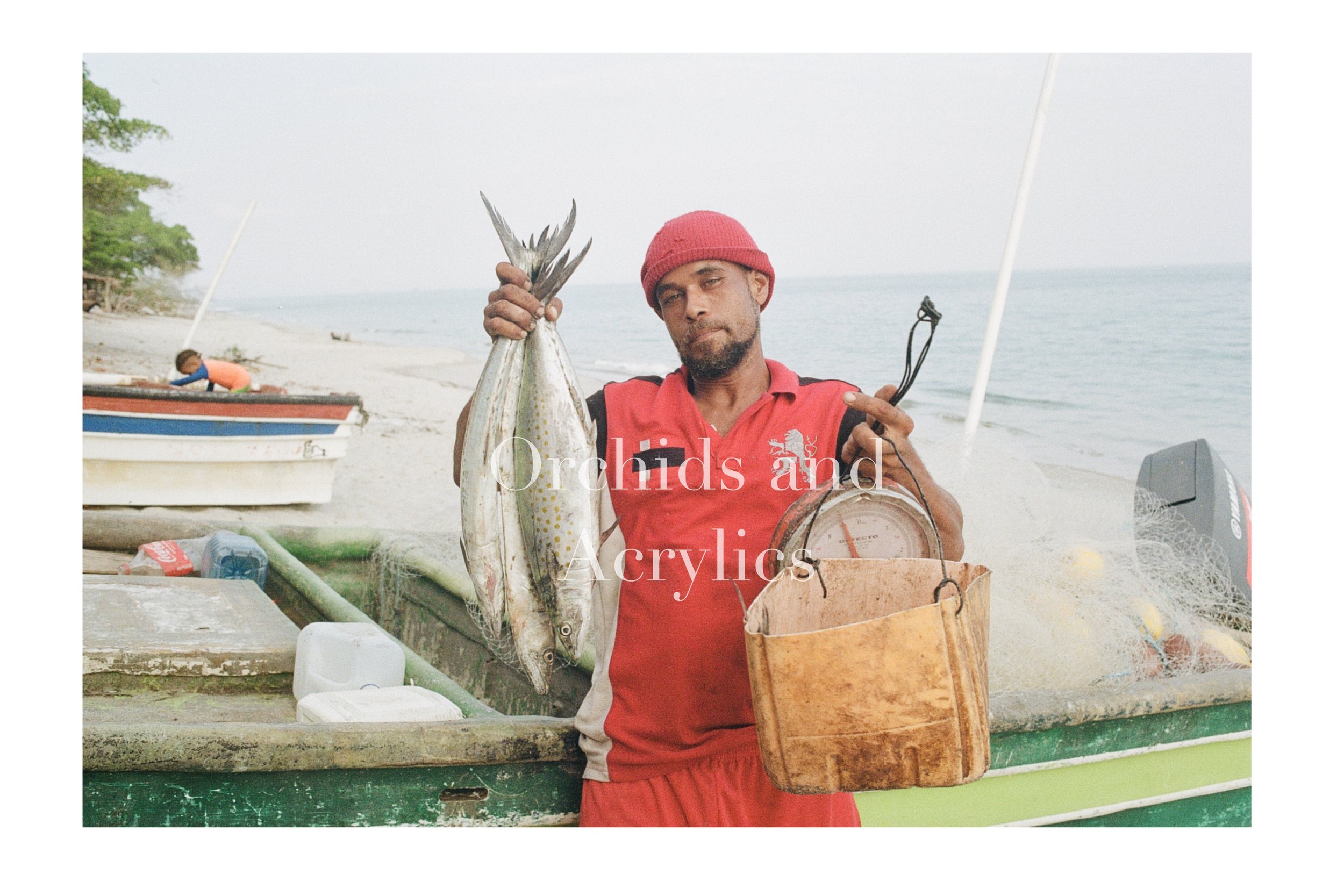Pacific Corvina
