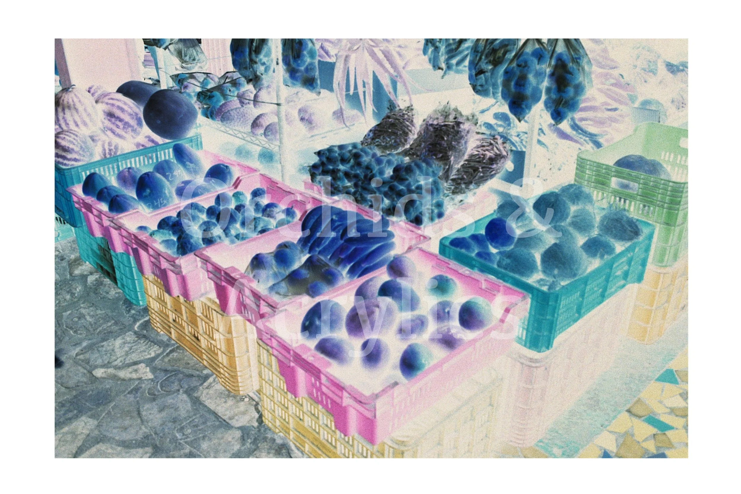 Fruits at El Valle (neg)
