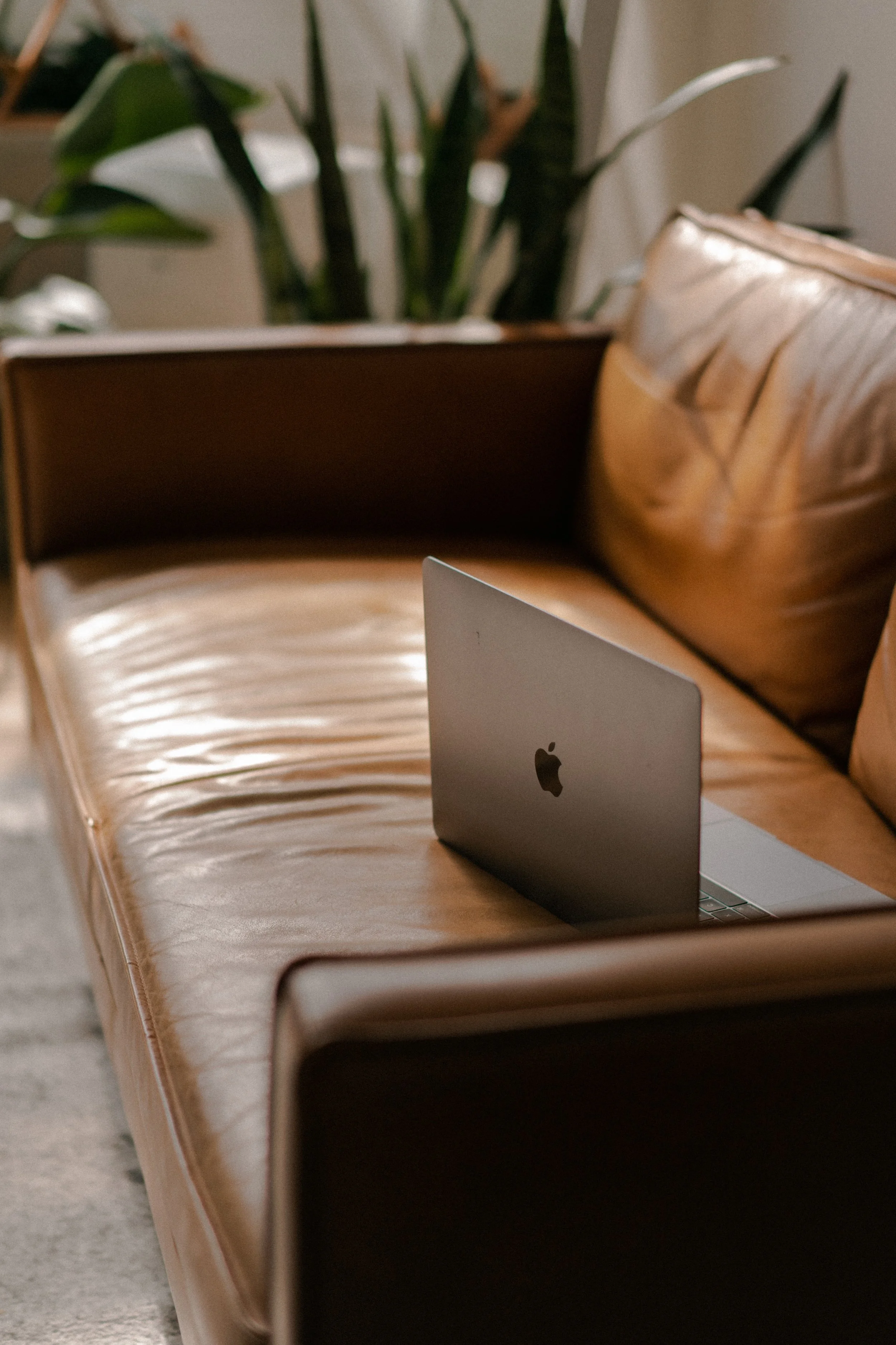 A silver Apple MacBook laptop with the Apple logo on the back, placed on a leather couch in a cozy living room setting.
