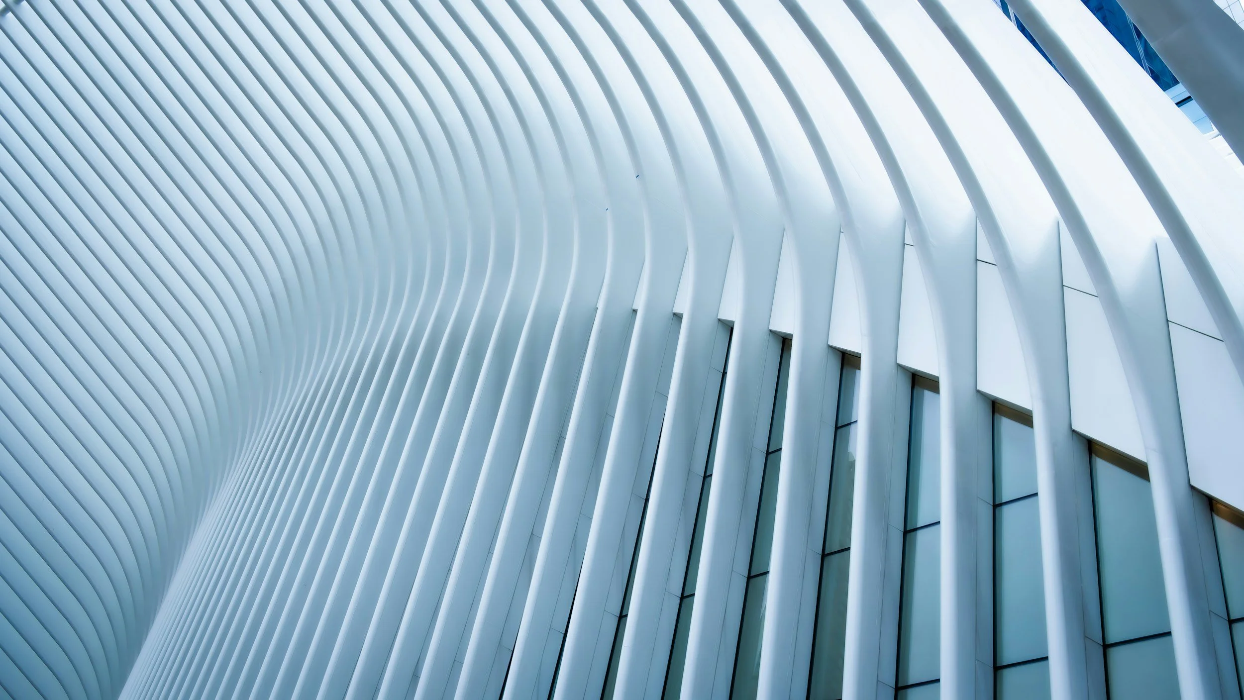 Architectural interior with white curved ribbed ceiling and windows.