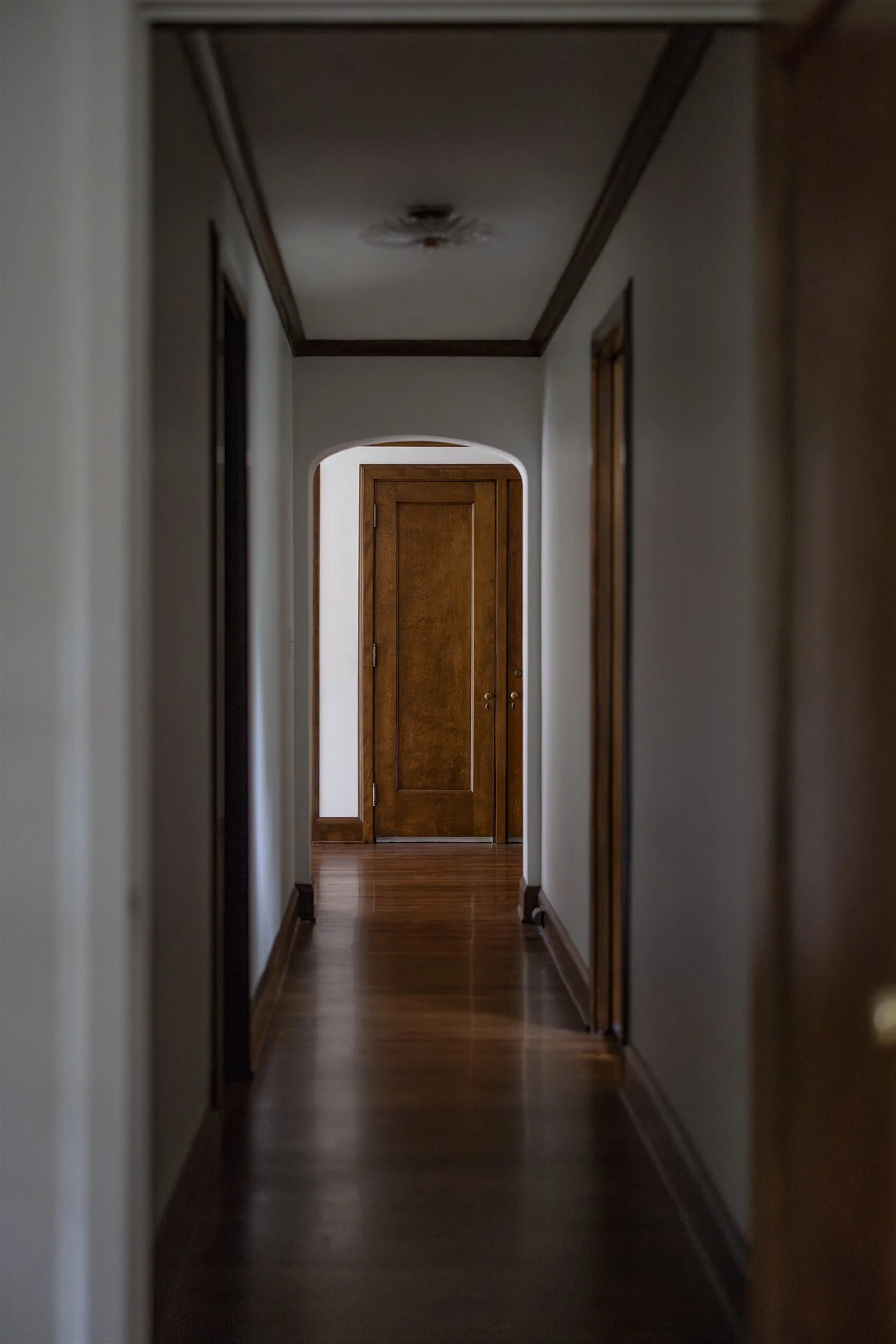 Courtland62624043.jpg