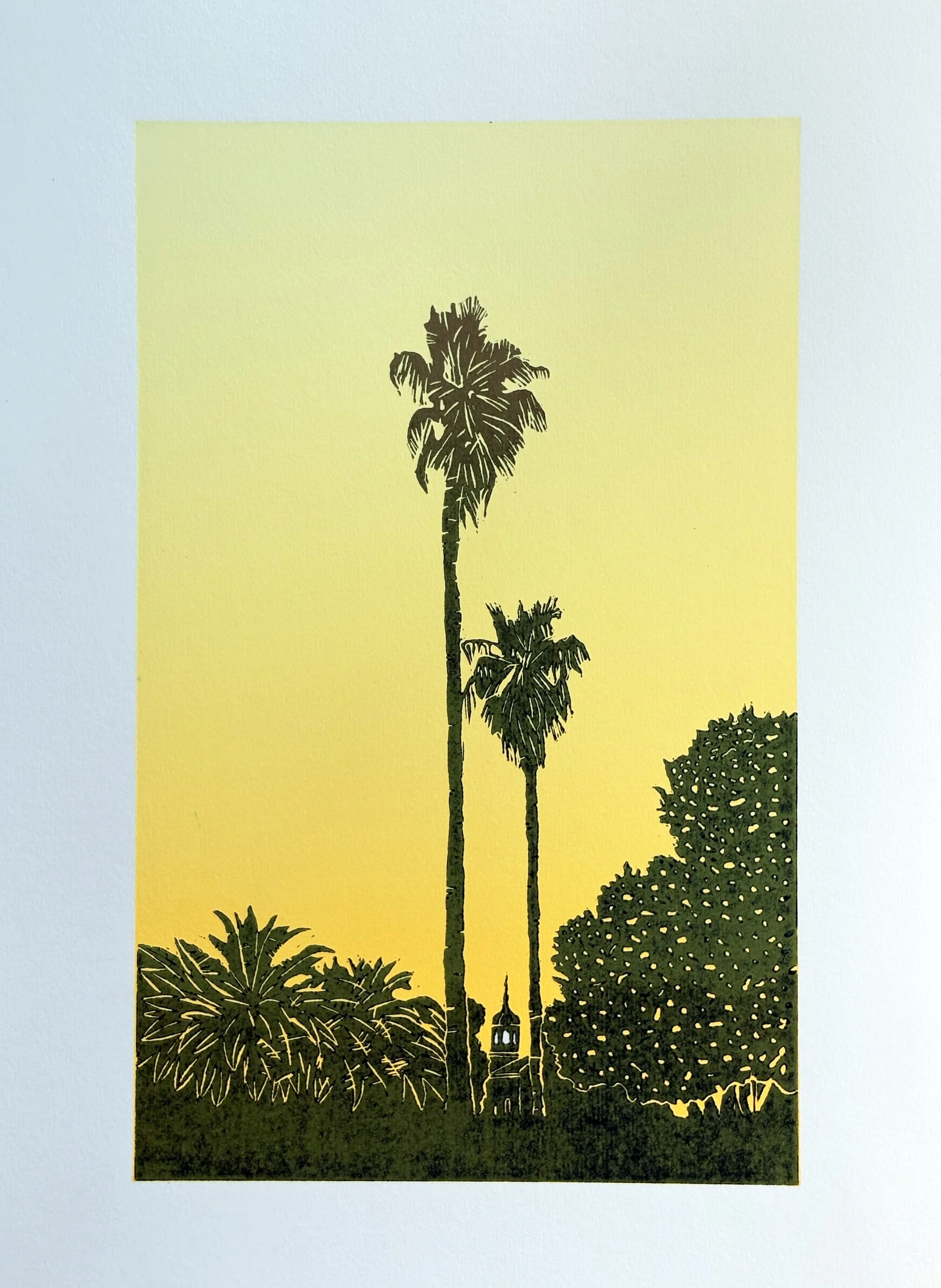 3 Palms.jpg