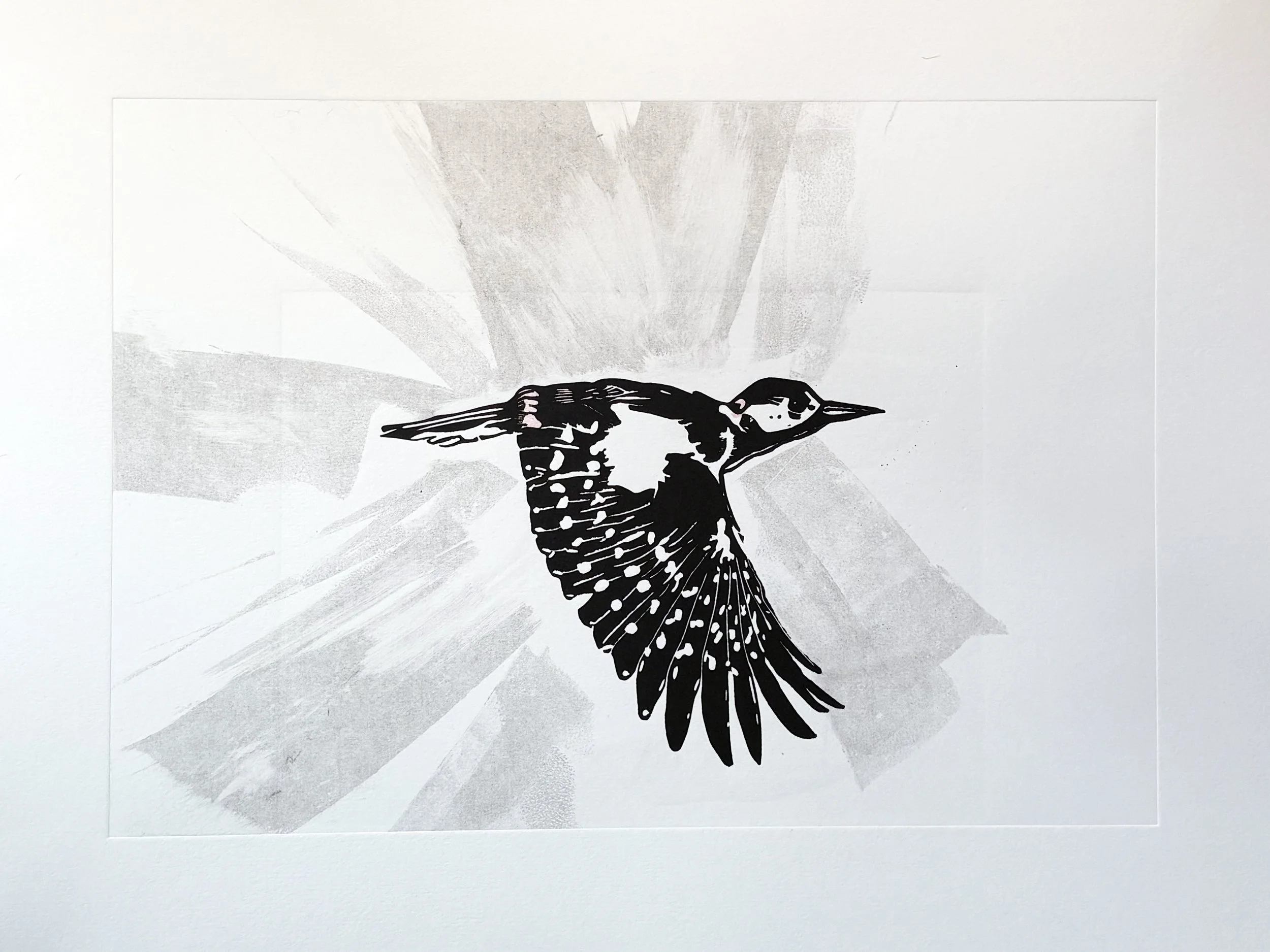 21 Great Spotted Woodpecker - Mono.jpg