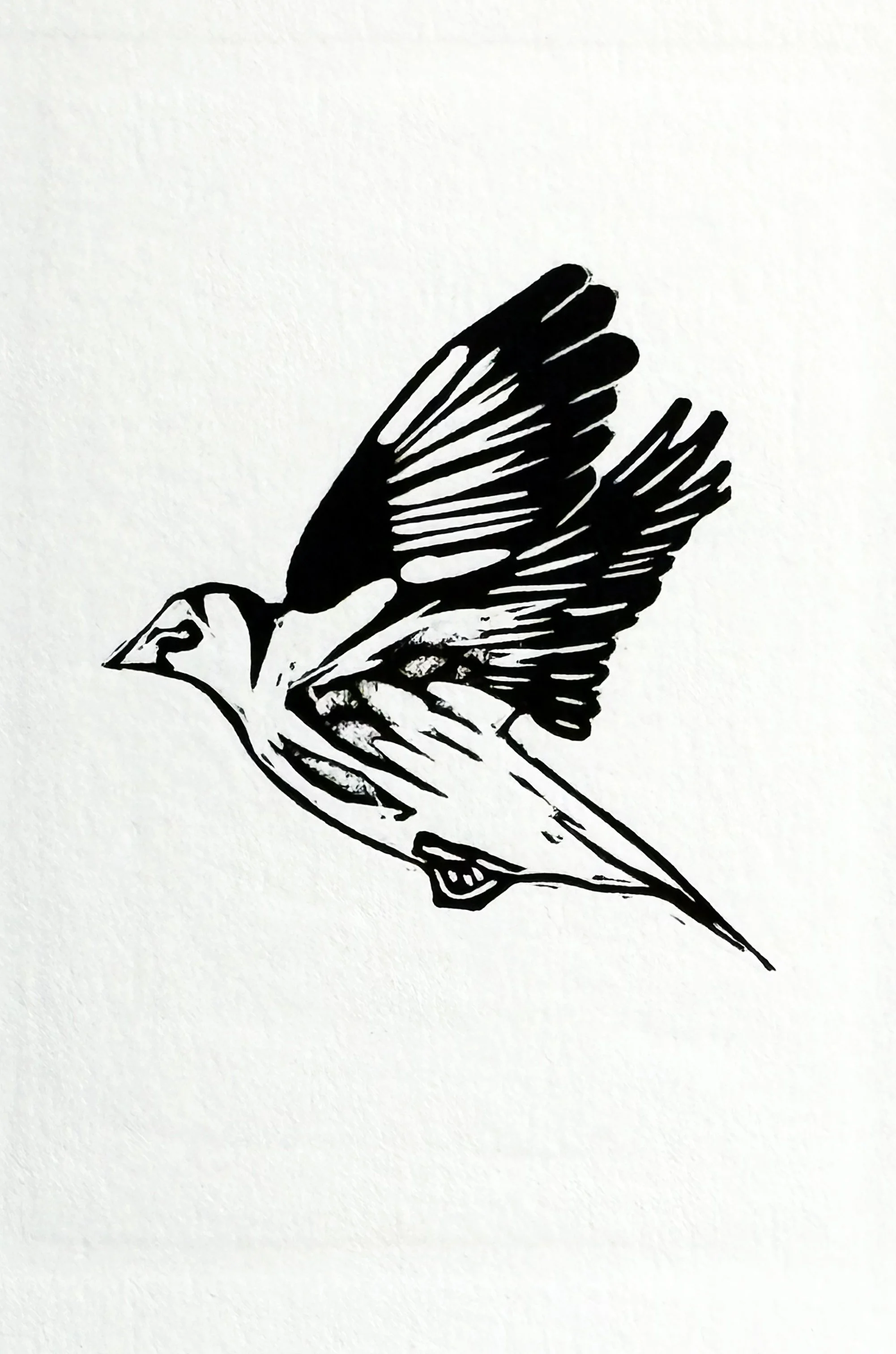 10 Goldfinch.jpg