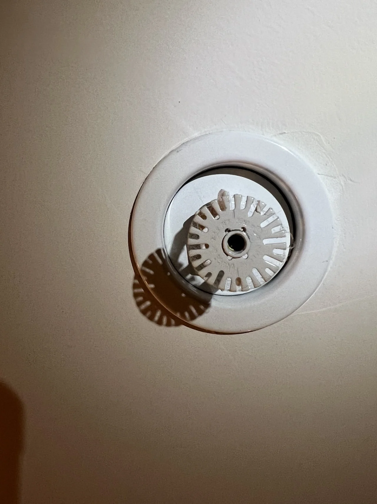 Close-up of a white pendant sprinkler head.