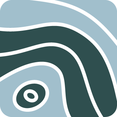Analysis icon