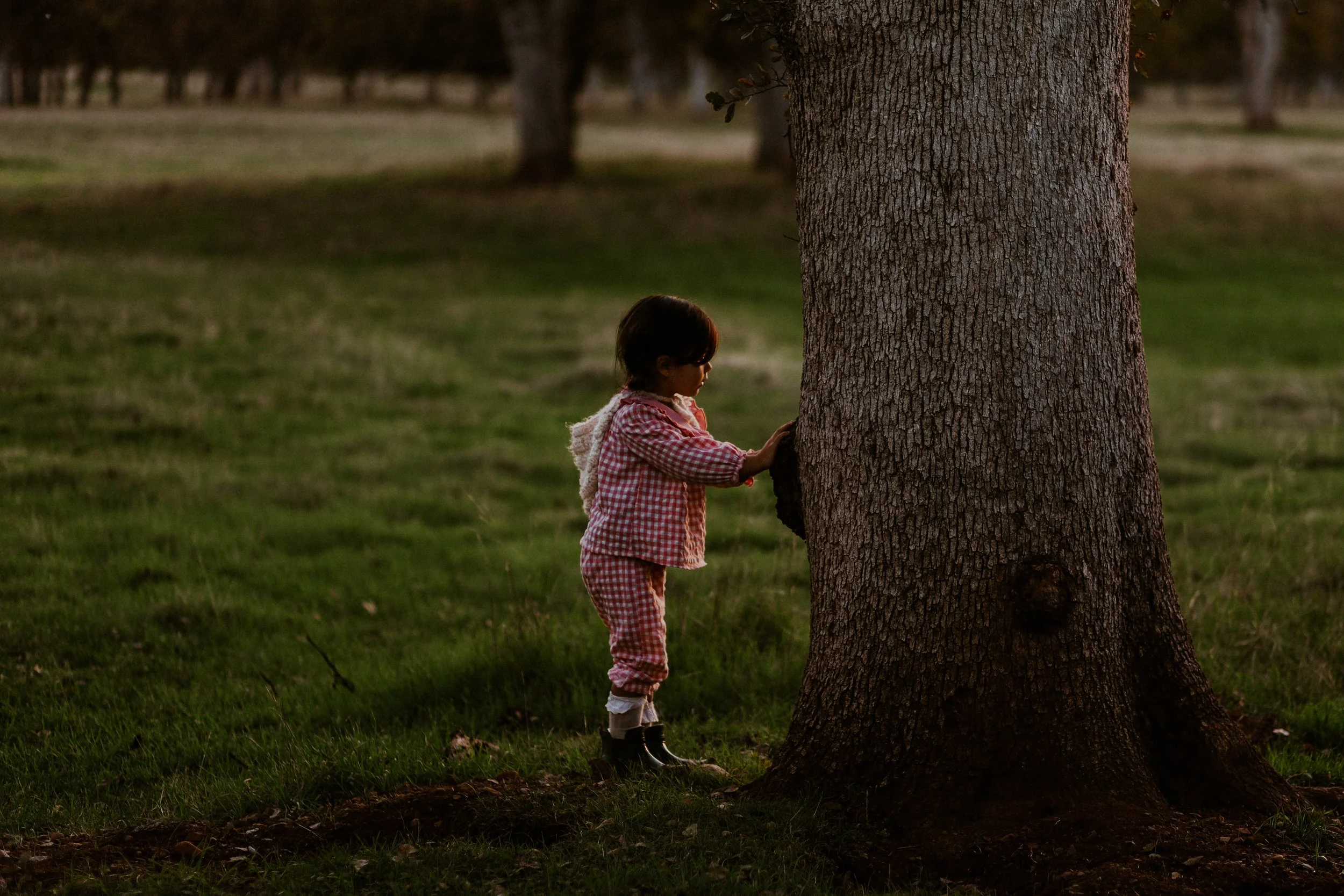 A young girl with dark hair dressed in pink checkered pajamas and boots, standing next to a large tree in a grassy park at dusk, touching the tree trunk.