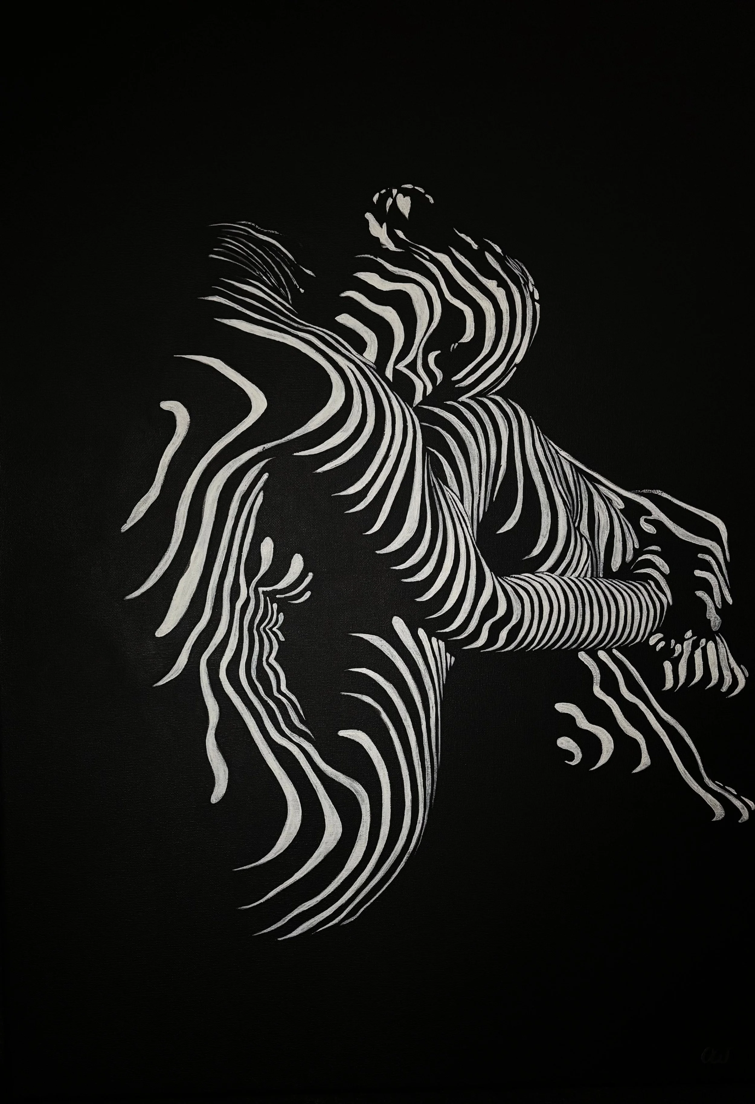 Zebrafrau.jpg