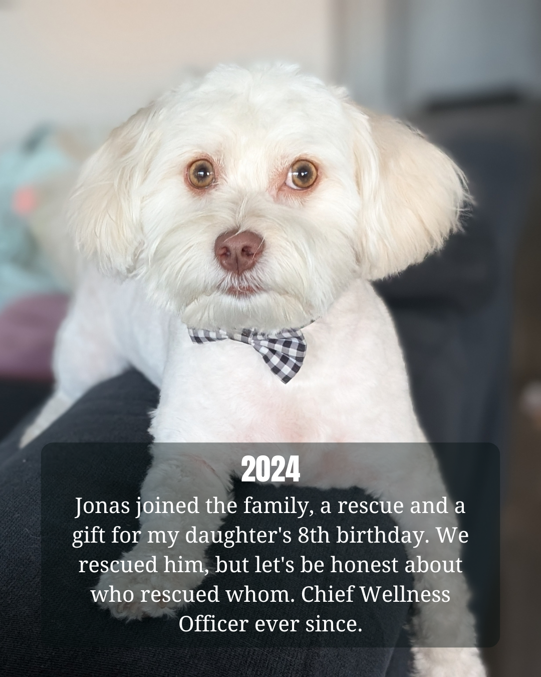 20.png