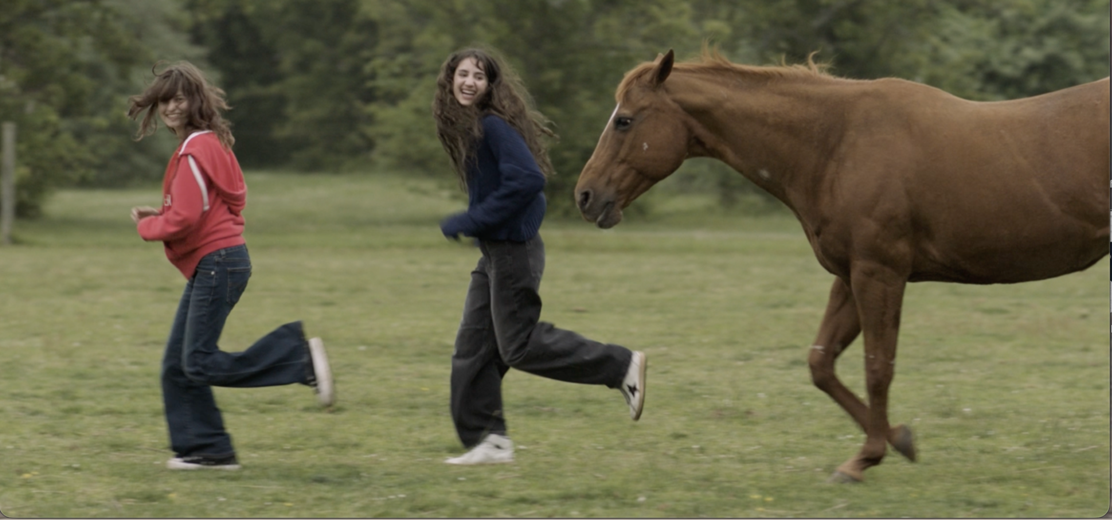d7a9fc81-da15-45a5-9c16-dc697e081ed2.png