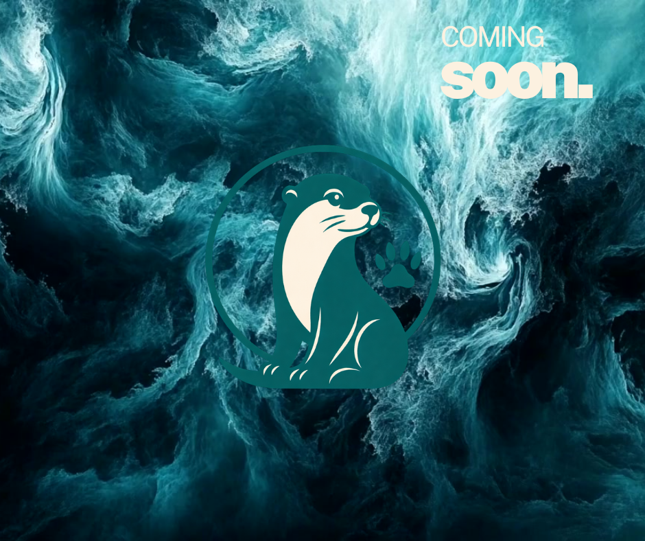 Coming Soon.