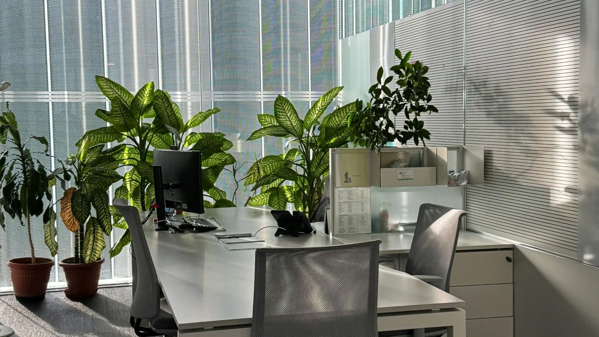 How Office Window Tinting Can Improve Employee Comfort