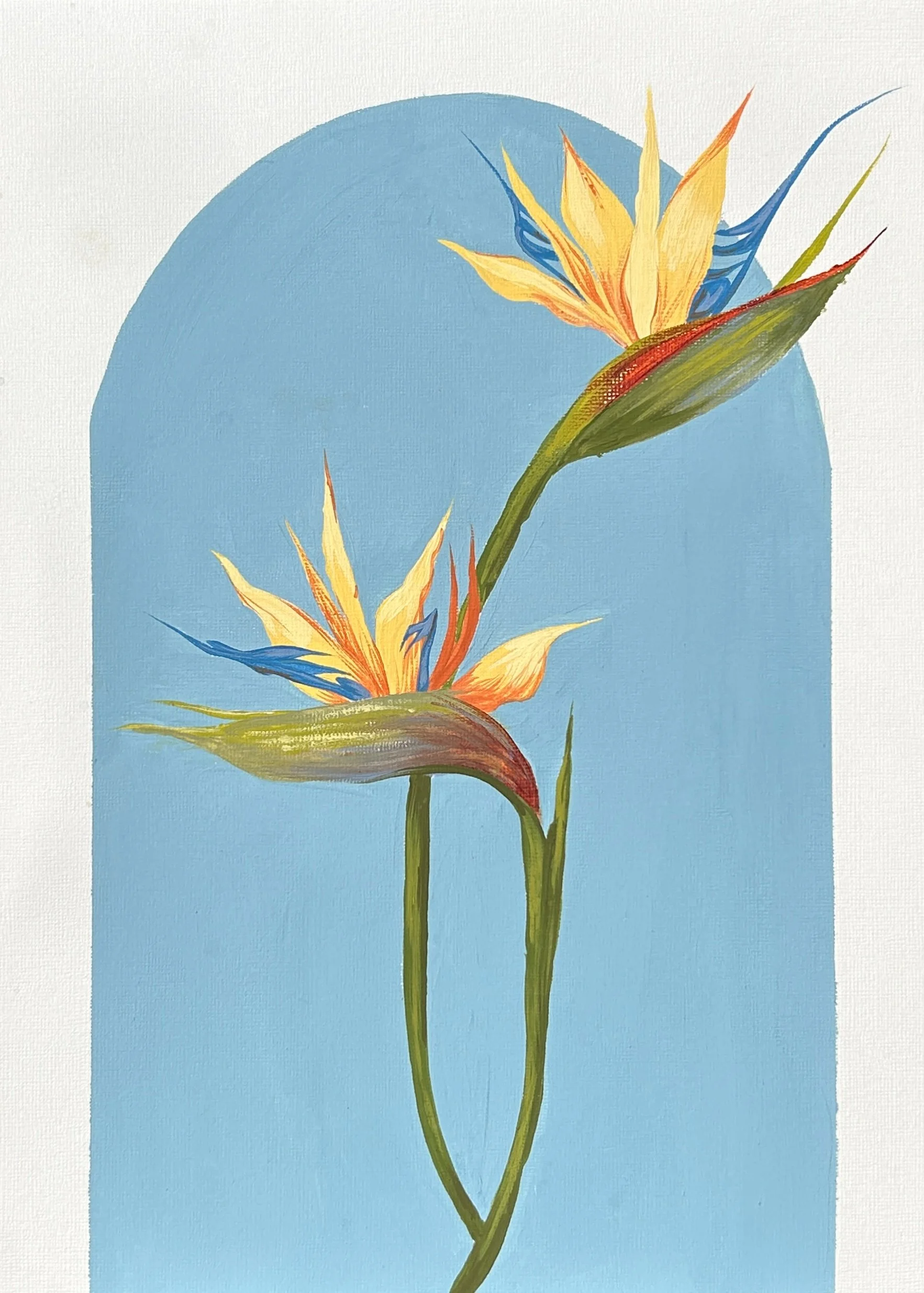 FLOR.jpg