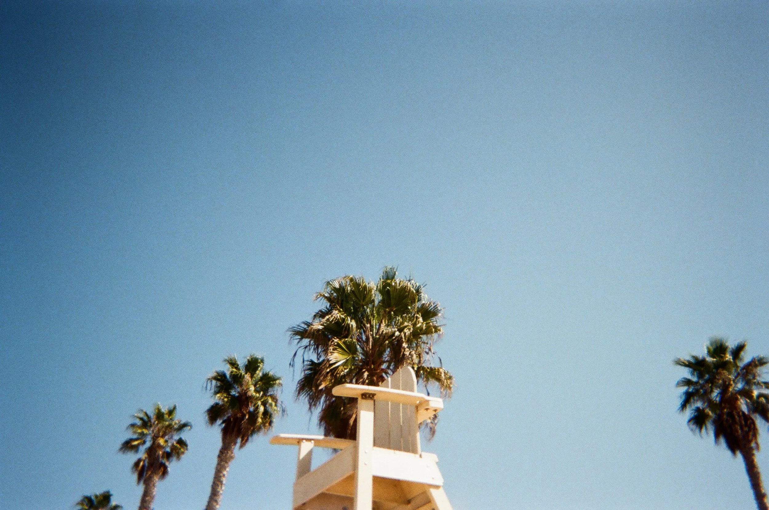 2024 - CA