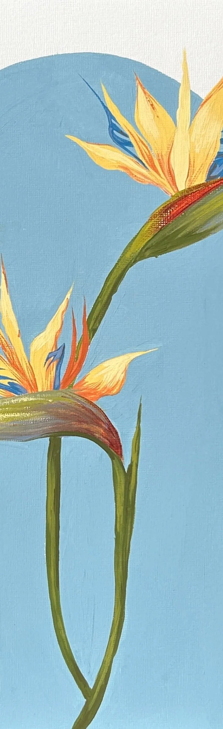 FLOR.jpg