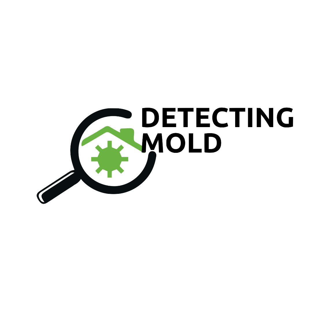 Your Site Title