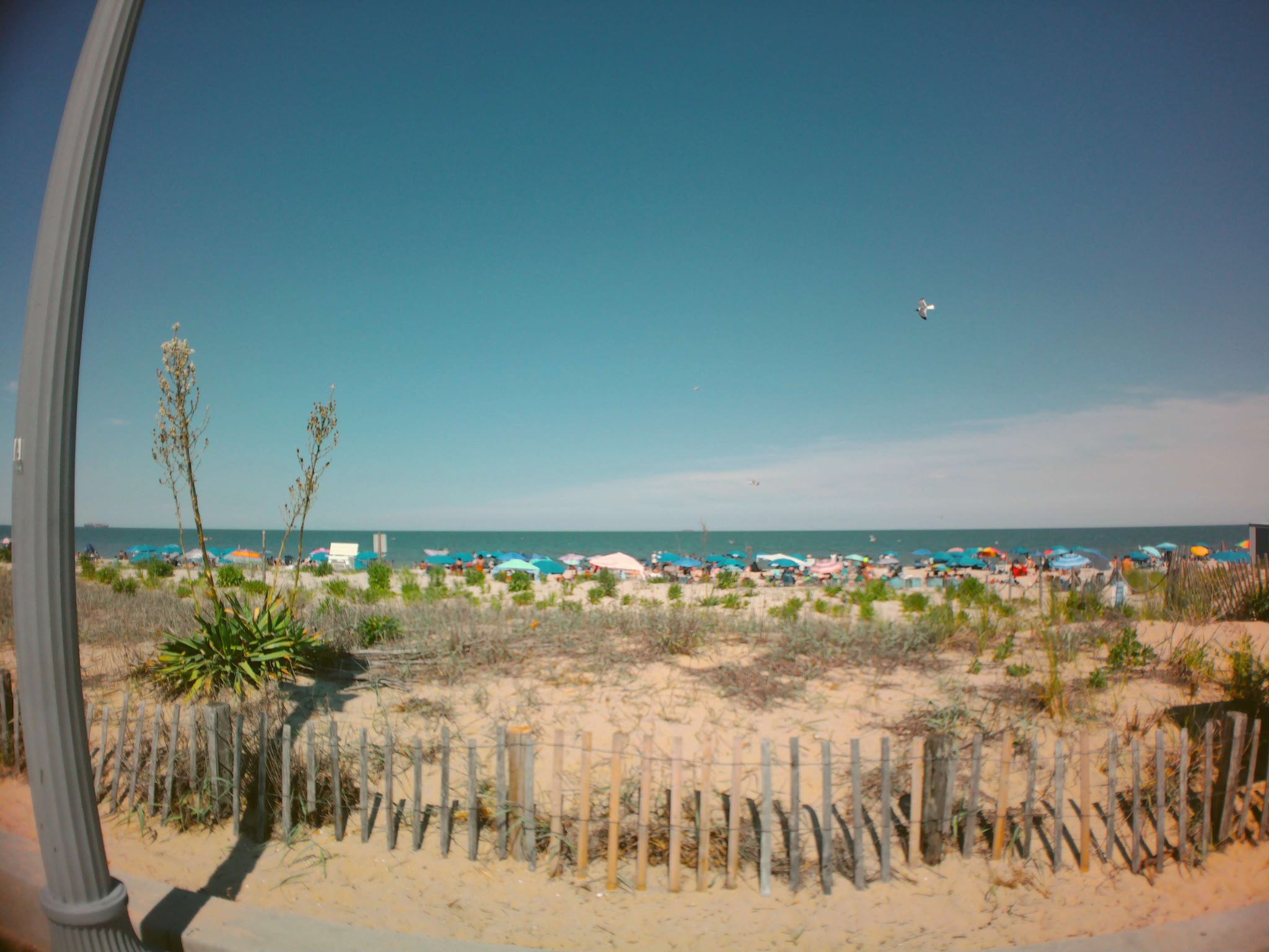 Vintage Beach.png