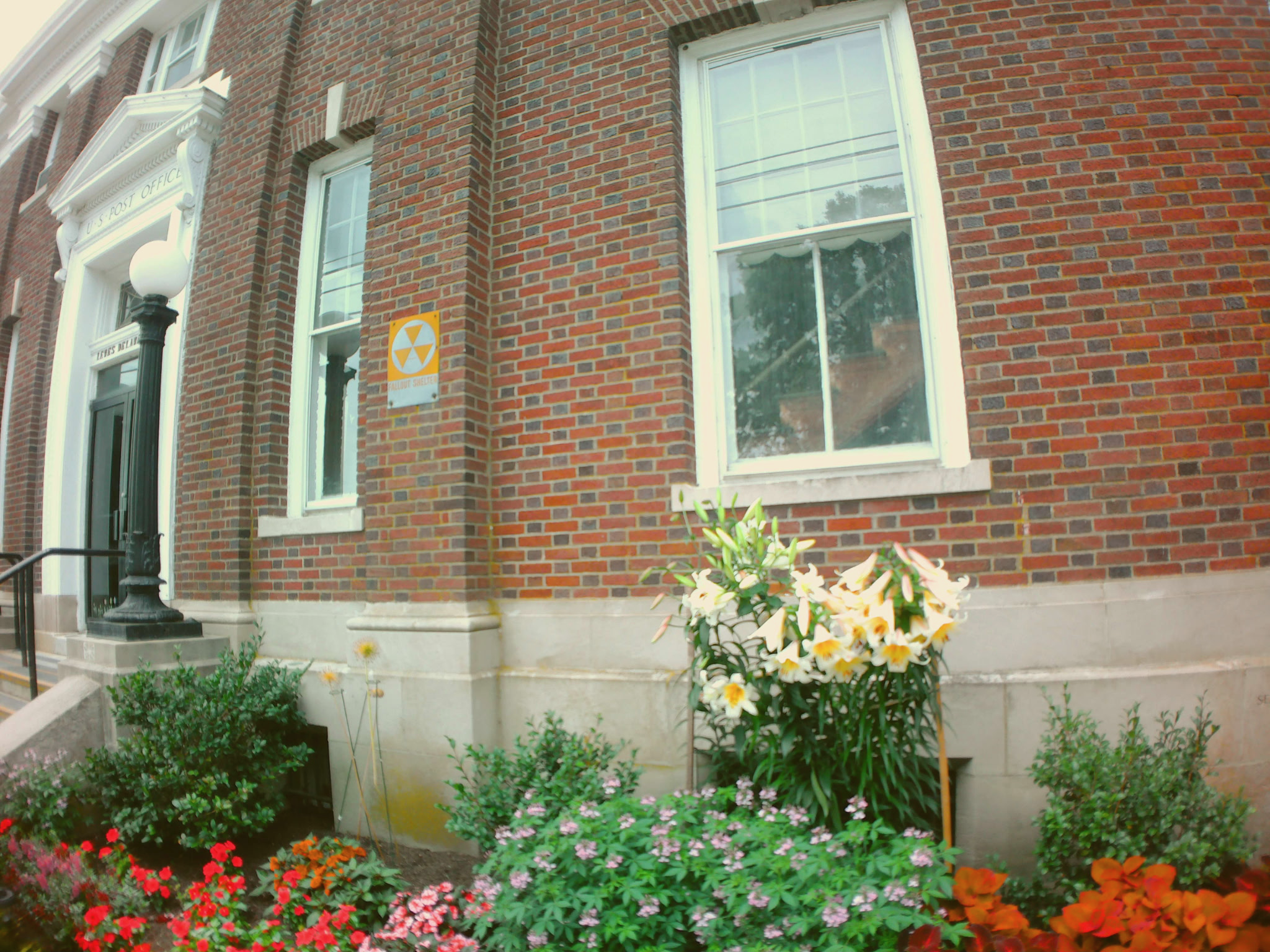 Flowers with Fallout shelter sign.png
