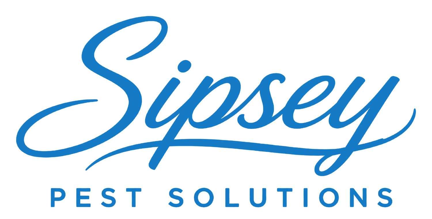Sipsey Pest Solutions