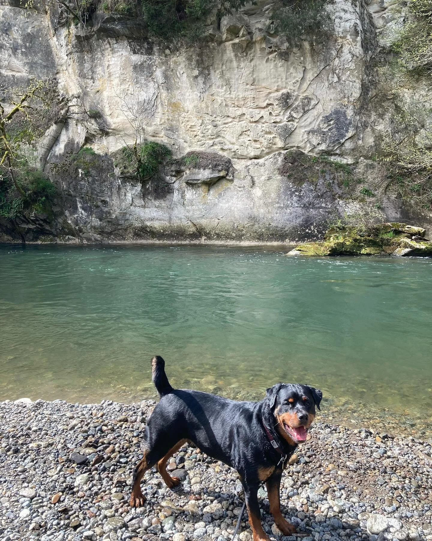 Ace boy hanging at hanging gardens