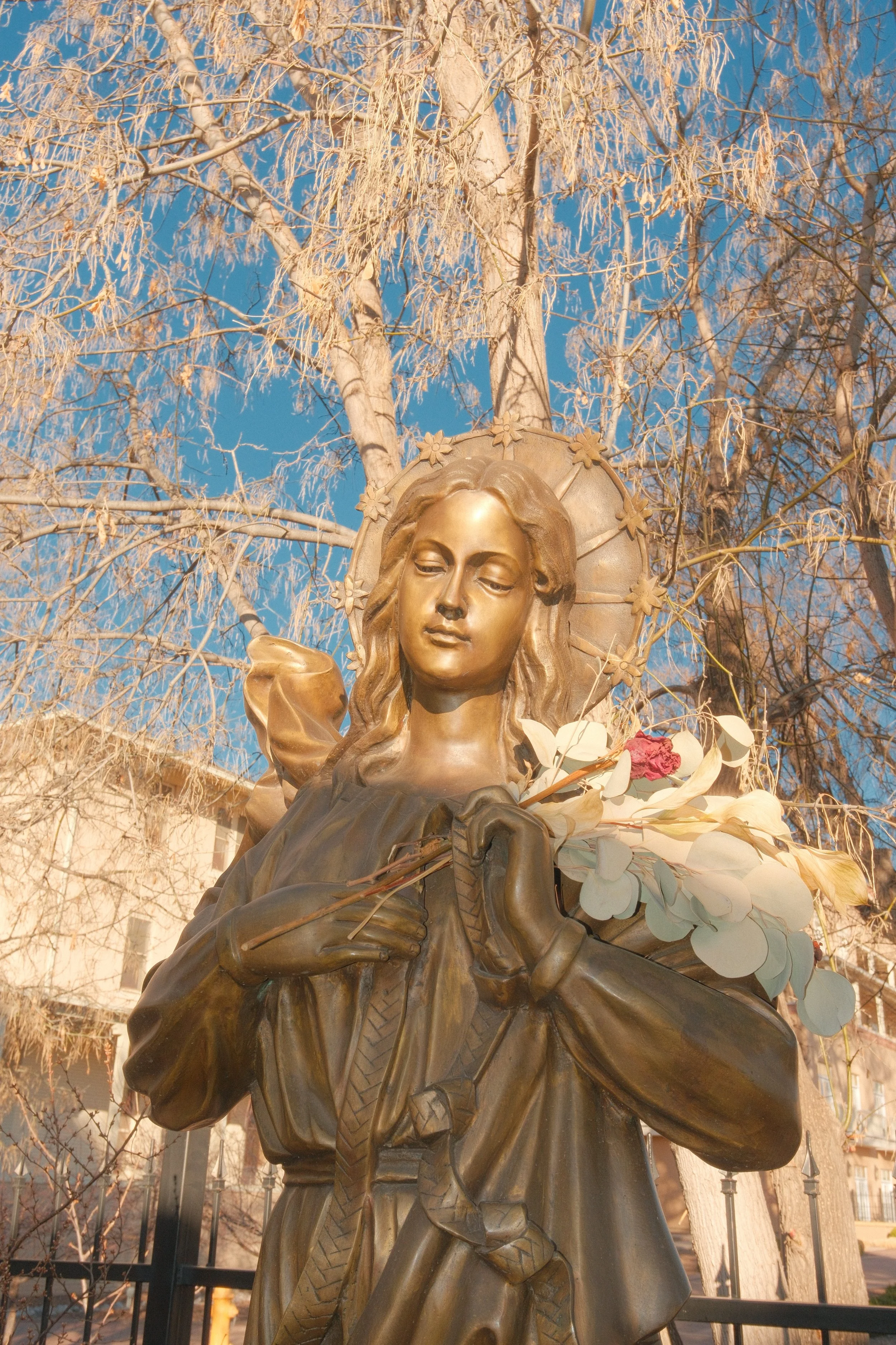 DSCF1567.JPG