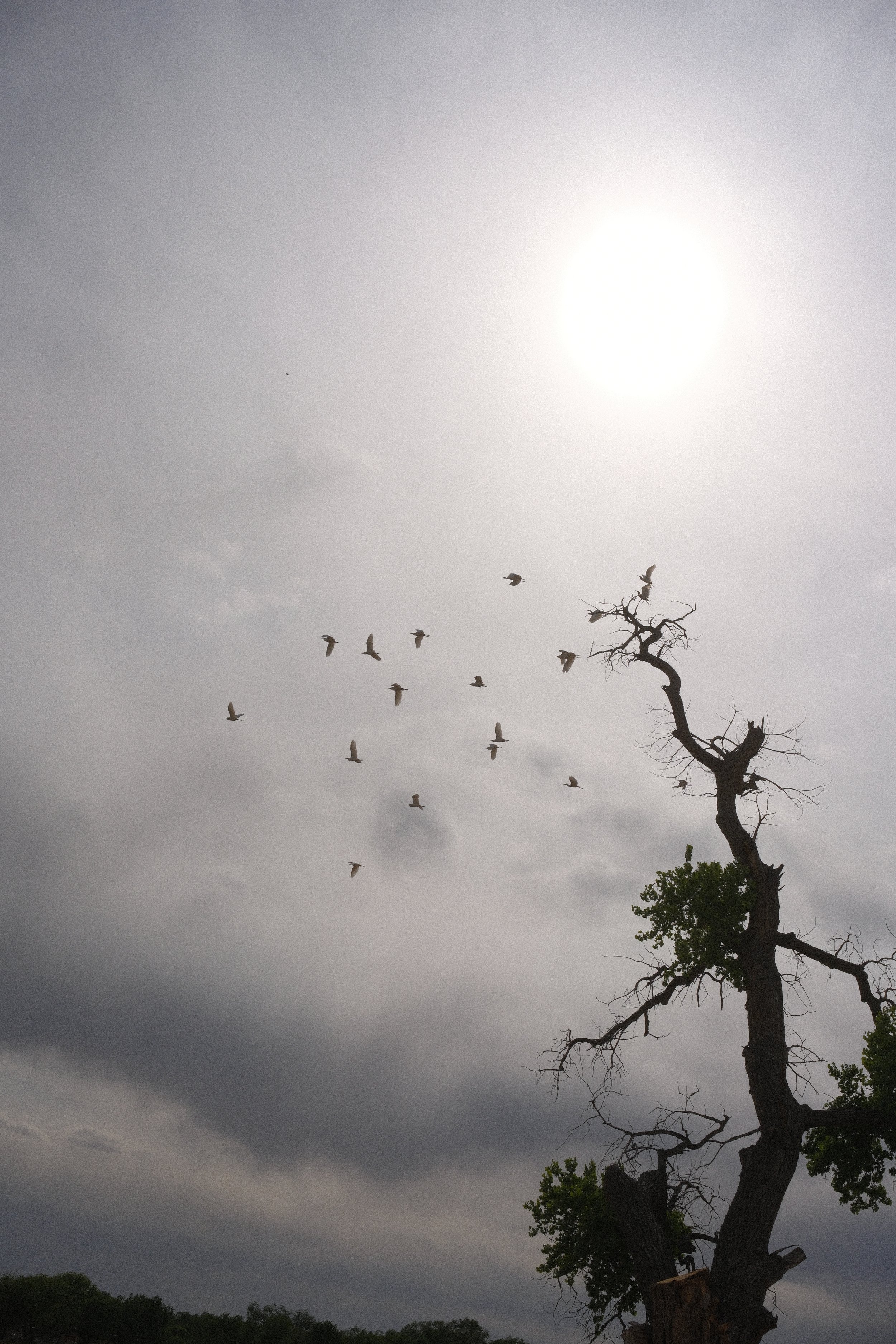 DSCF4334.JPG