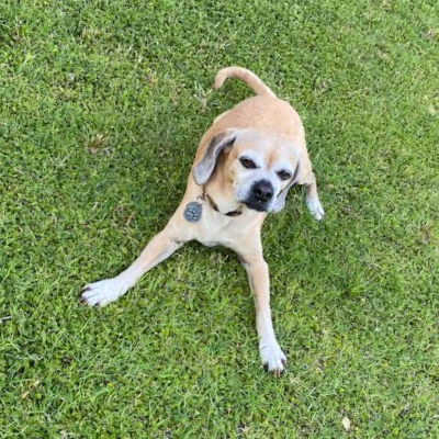 Zoey, 2008 - 2024