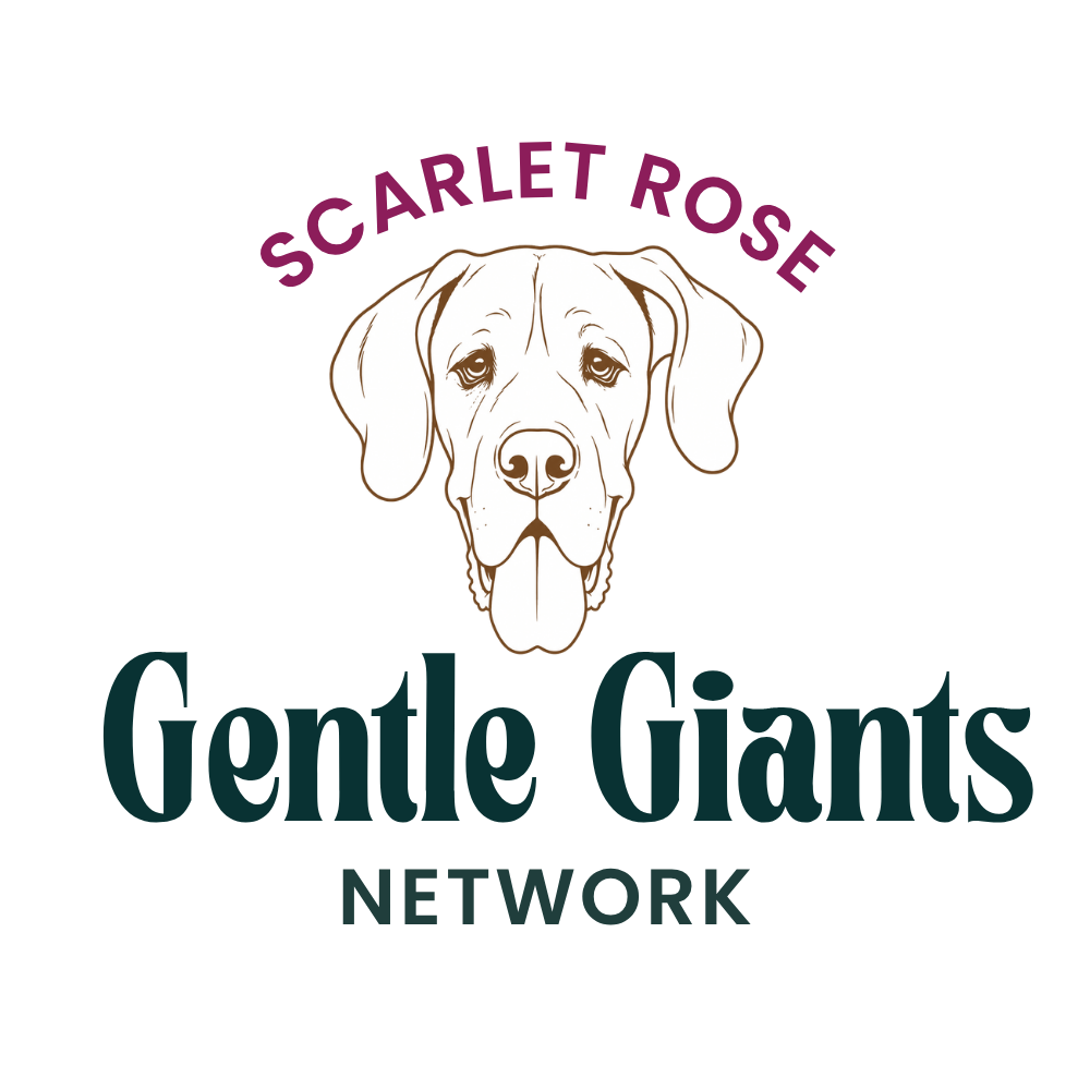 Scarlet Rose Gentle Giants Network