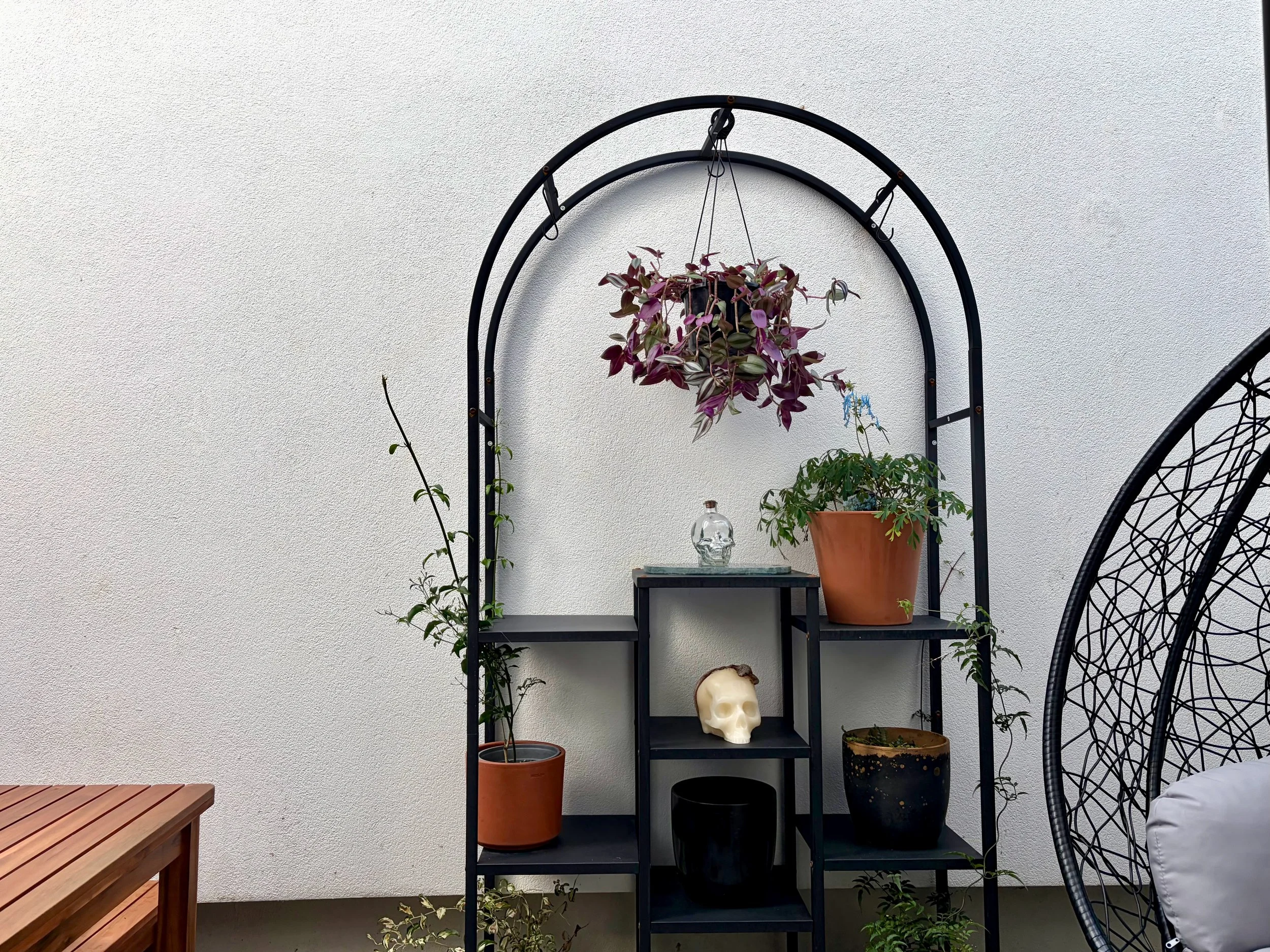 Outdoor courtyard of Paper & Skin Studio gallery and tattoo studio in Wellington.