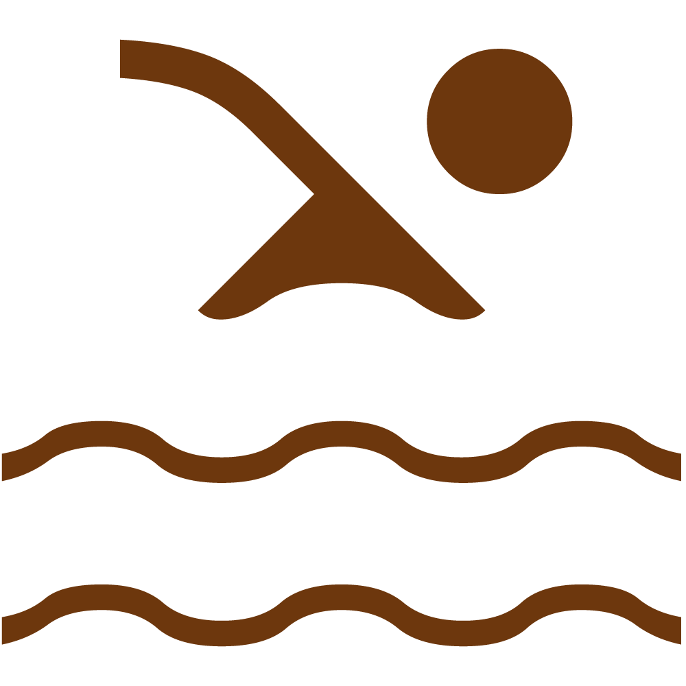 swimming pool icon