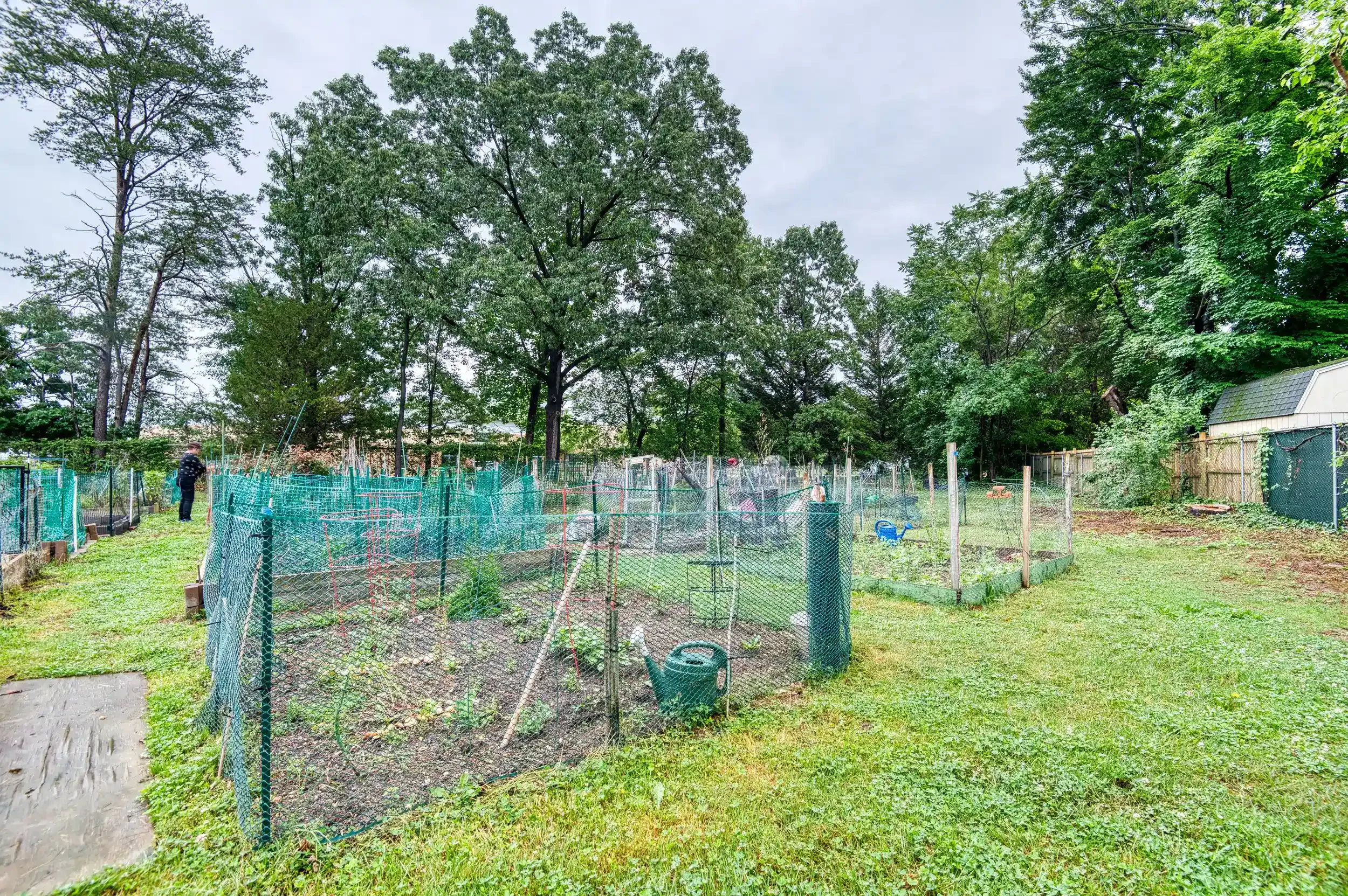 community garden