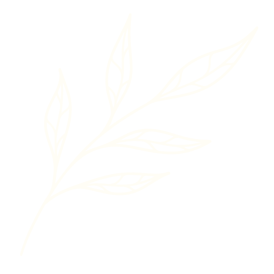 White outline of a stylized leaf branch on a black background.