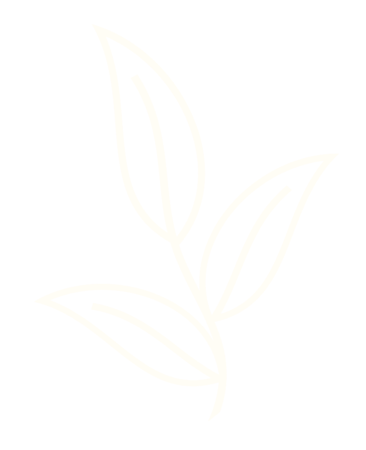 Minimalist white outline of a three-leaf plant on a black background.