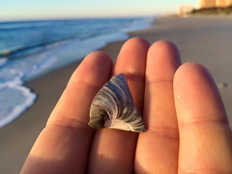2015 Nuggets In The Sand pt. 2