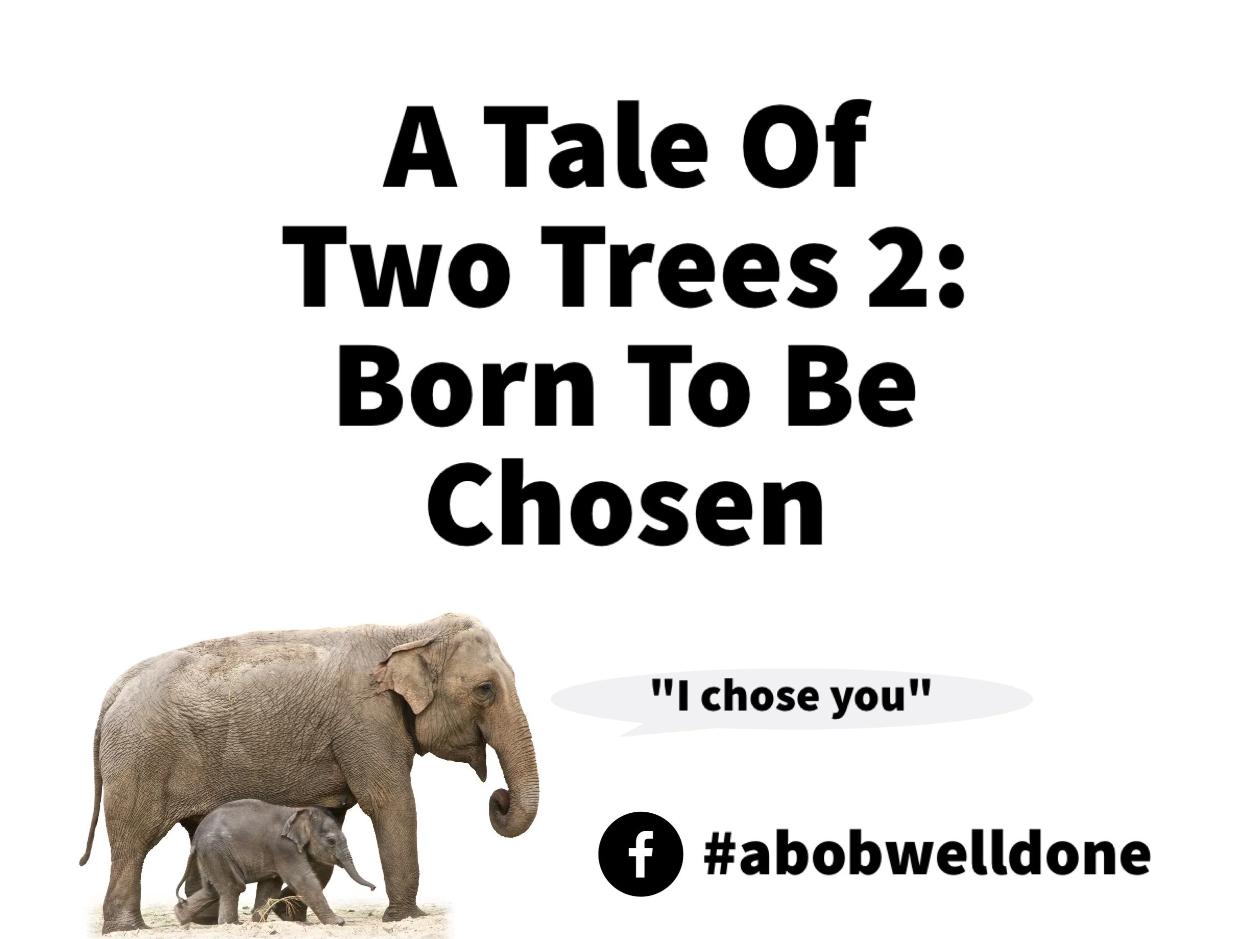 A Tale Of Two Trees 2: Born to be Chosen