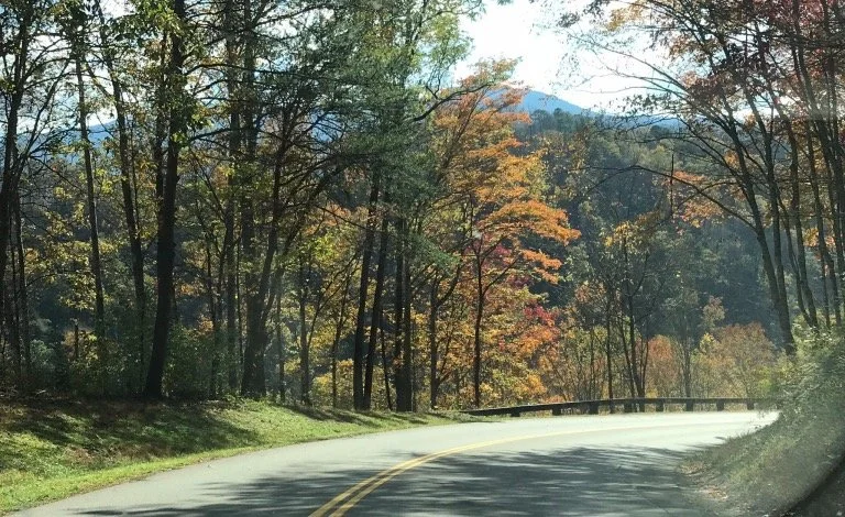 Learning to Love the Journey