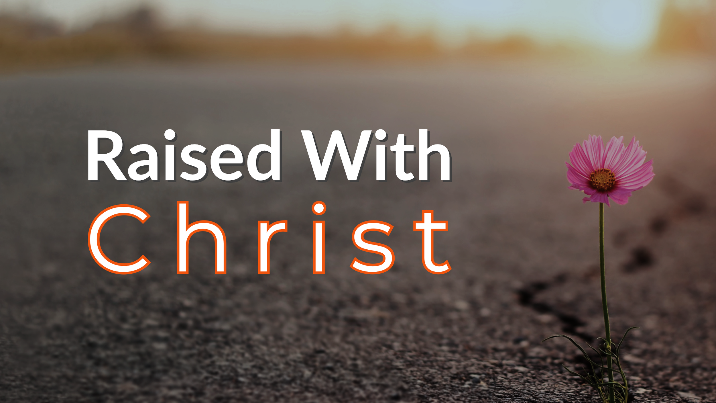 Passover Lamb: Risen with Christ