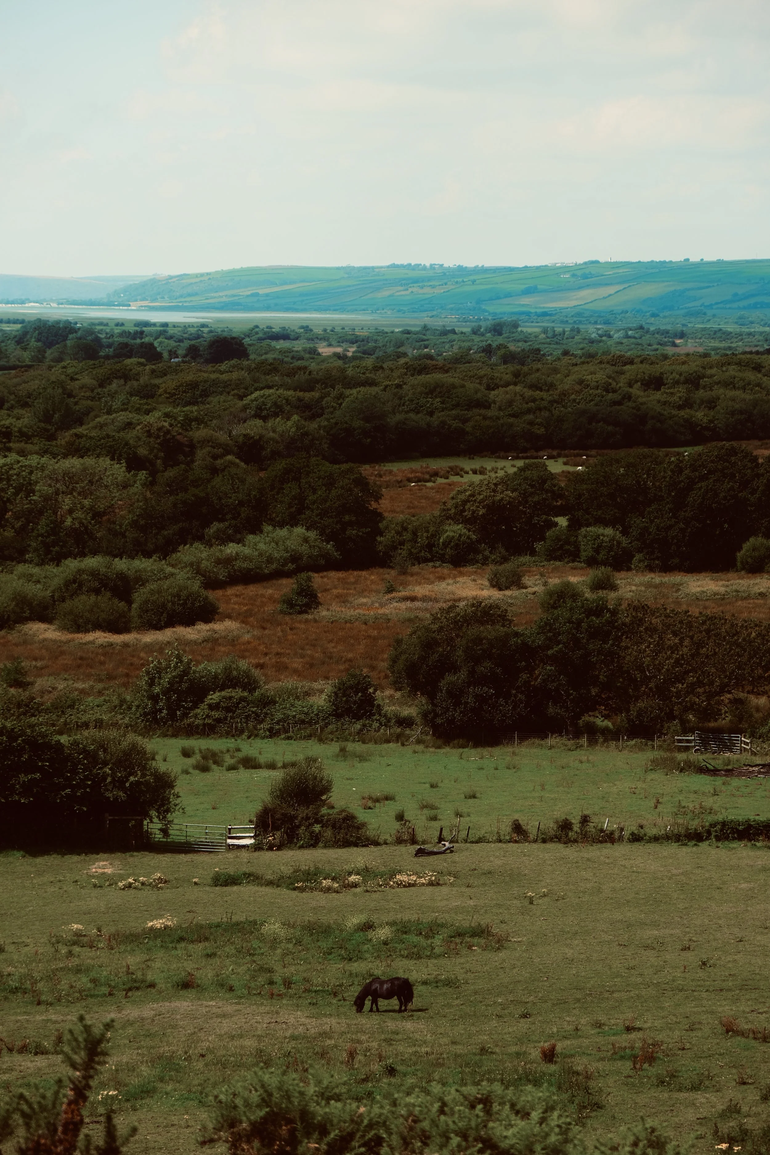 DSCF3659.jpg