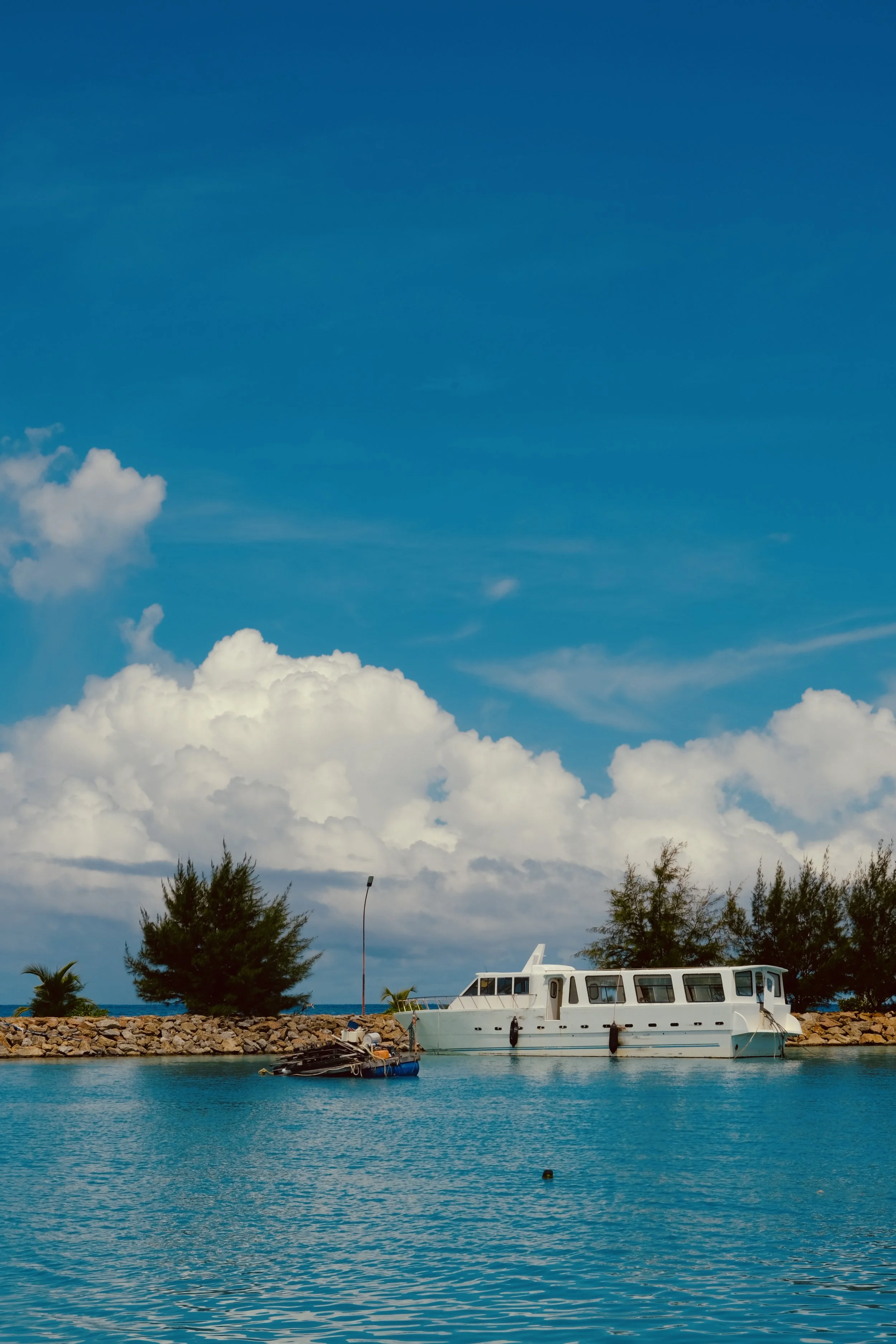 DSCF5186.jpg