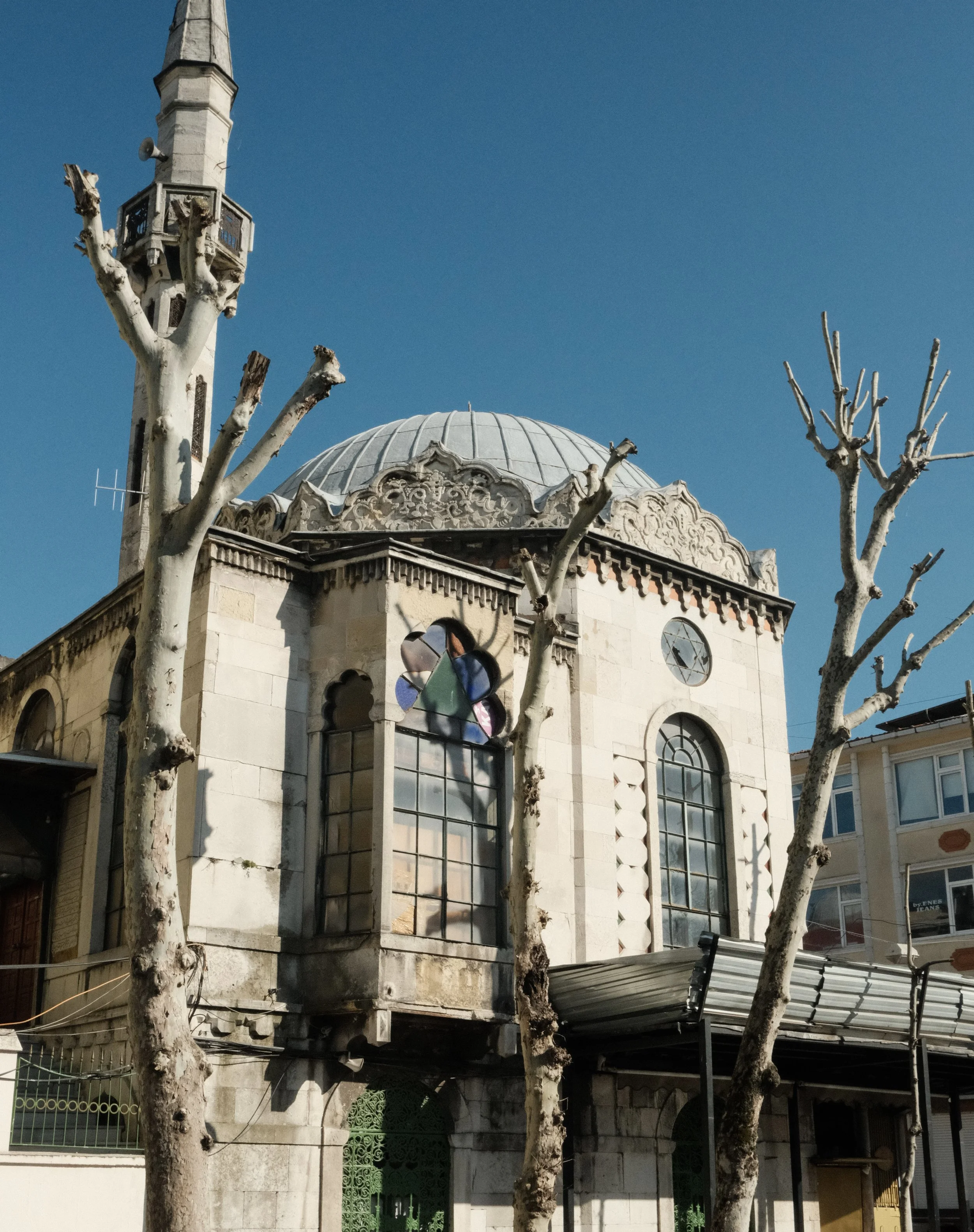 DSCF1433.jpg