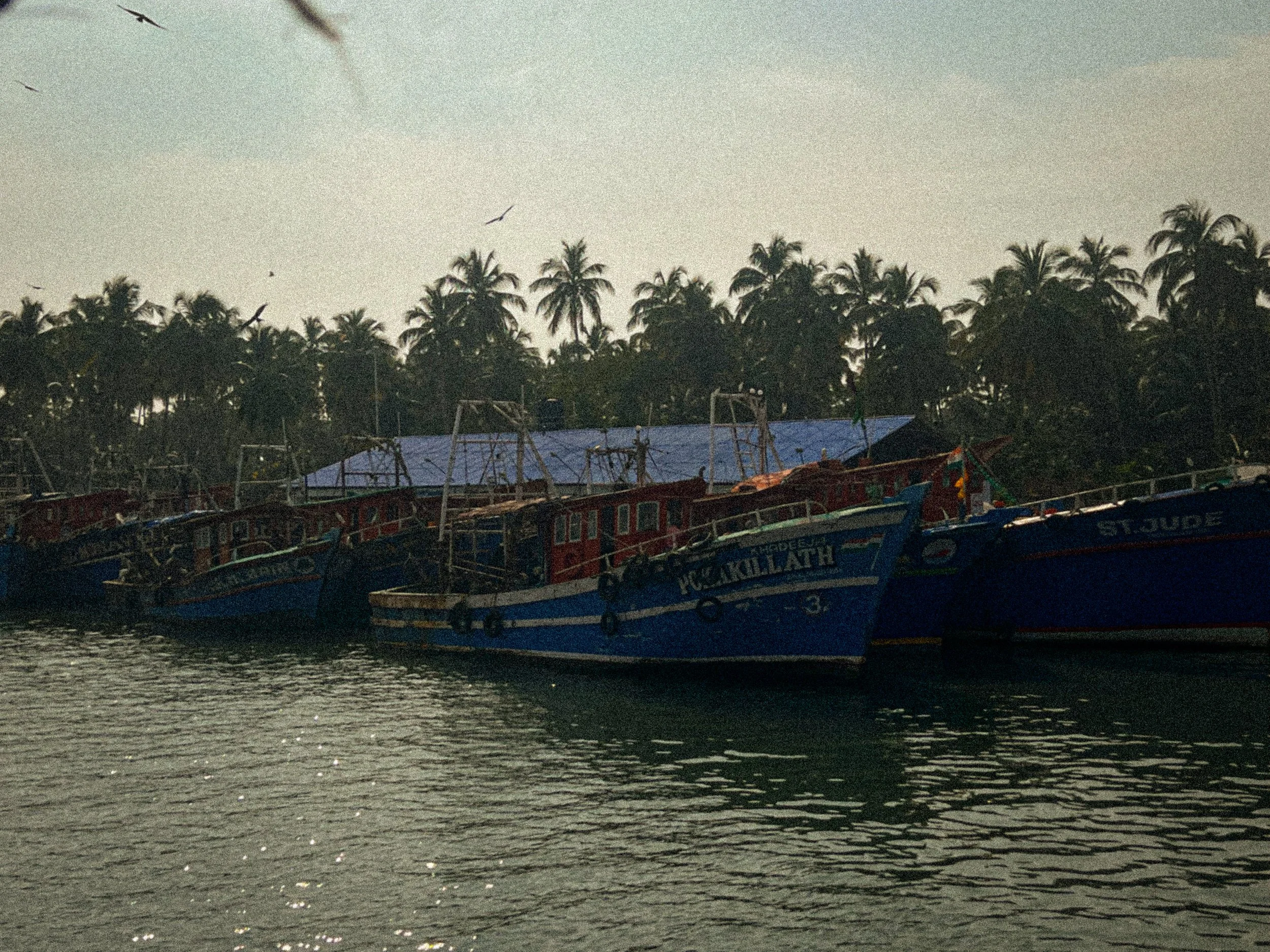 India-Fishing-Boats.JPG