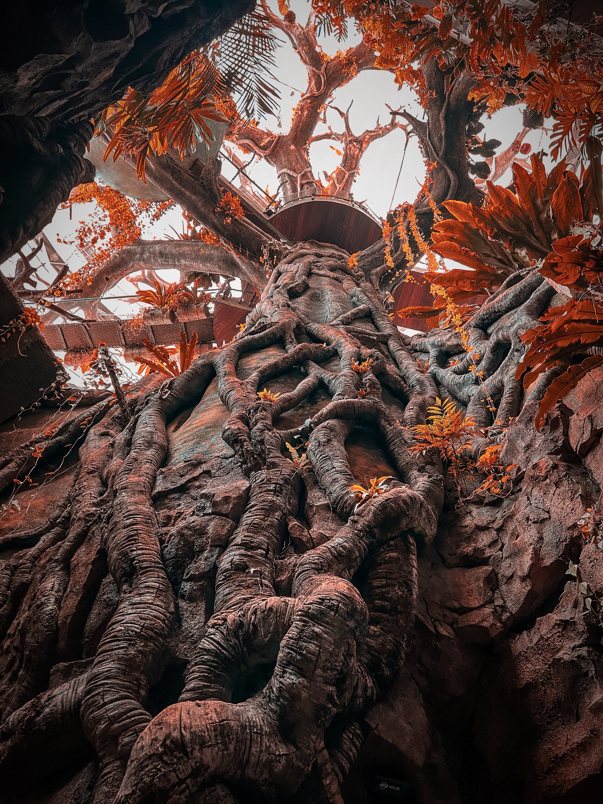 Dubai-Rainforest.JPG