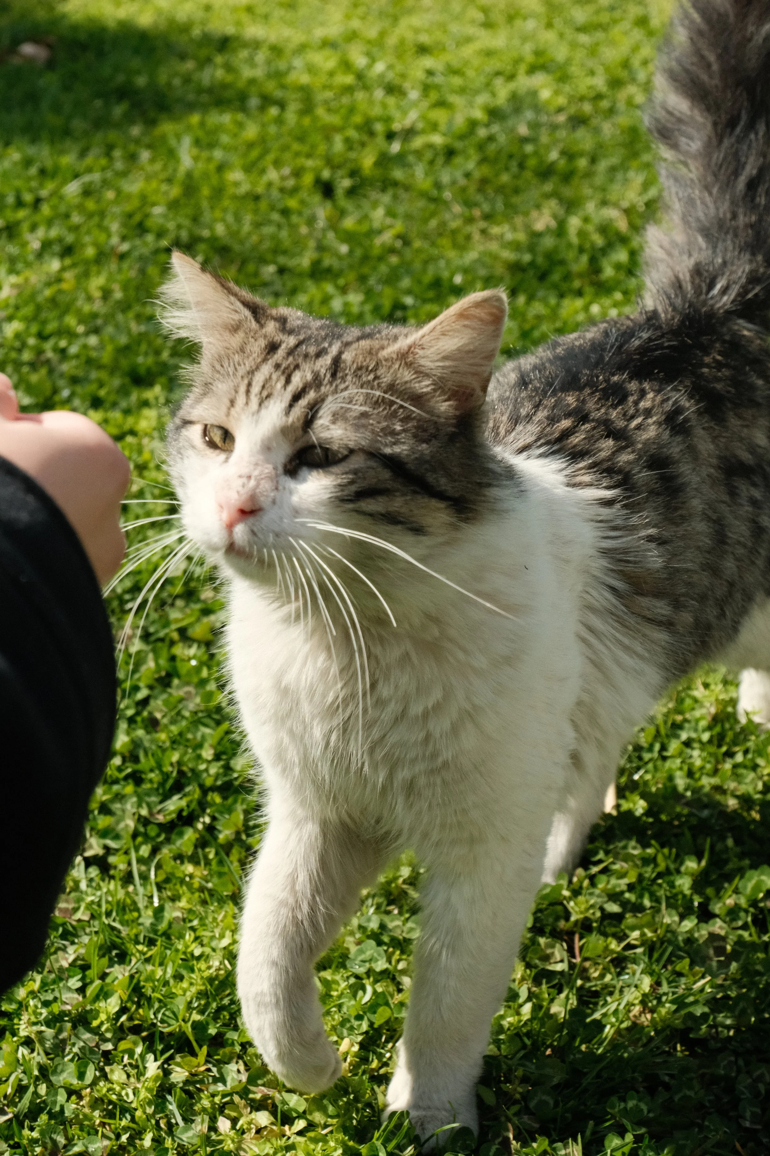 DSCF1403.JPG